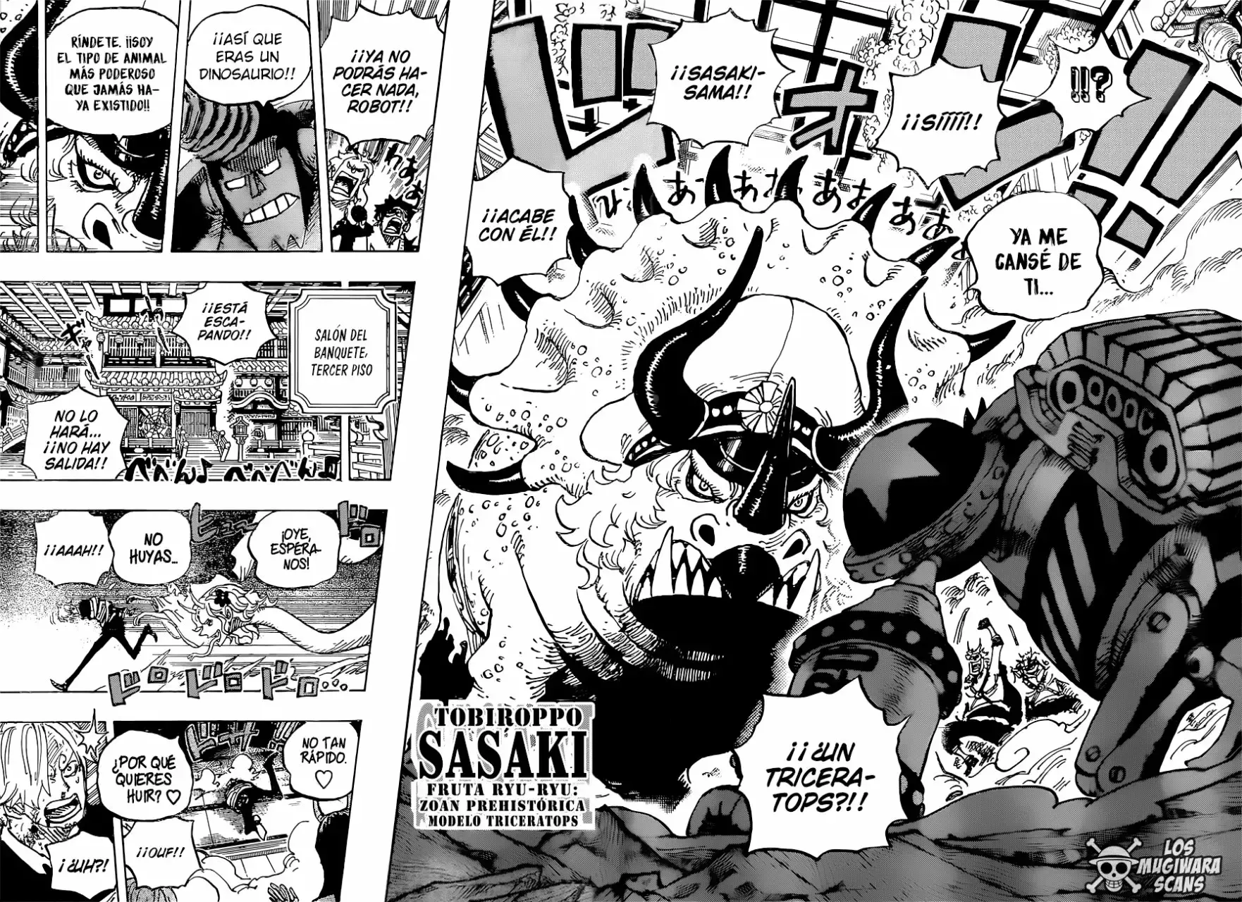 One Piece Capitulo 998.5 página 9