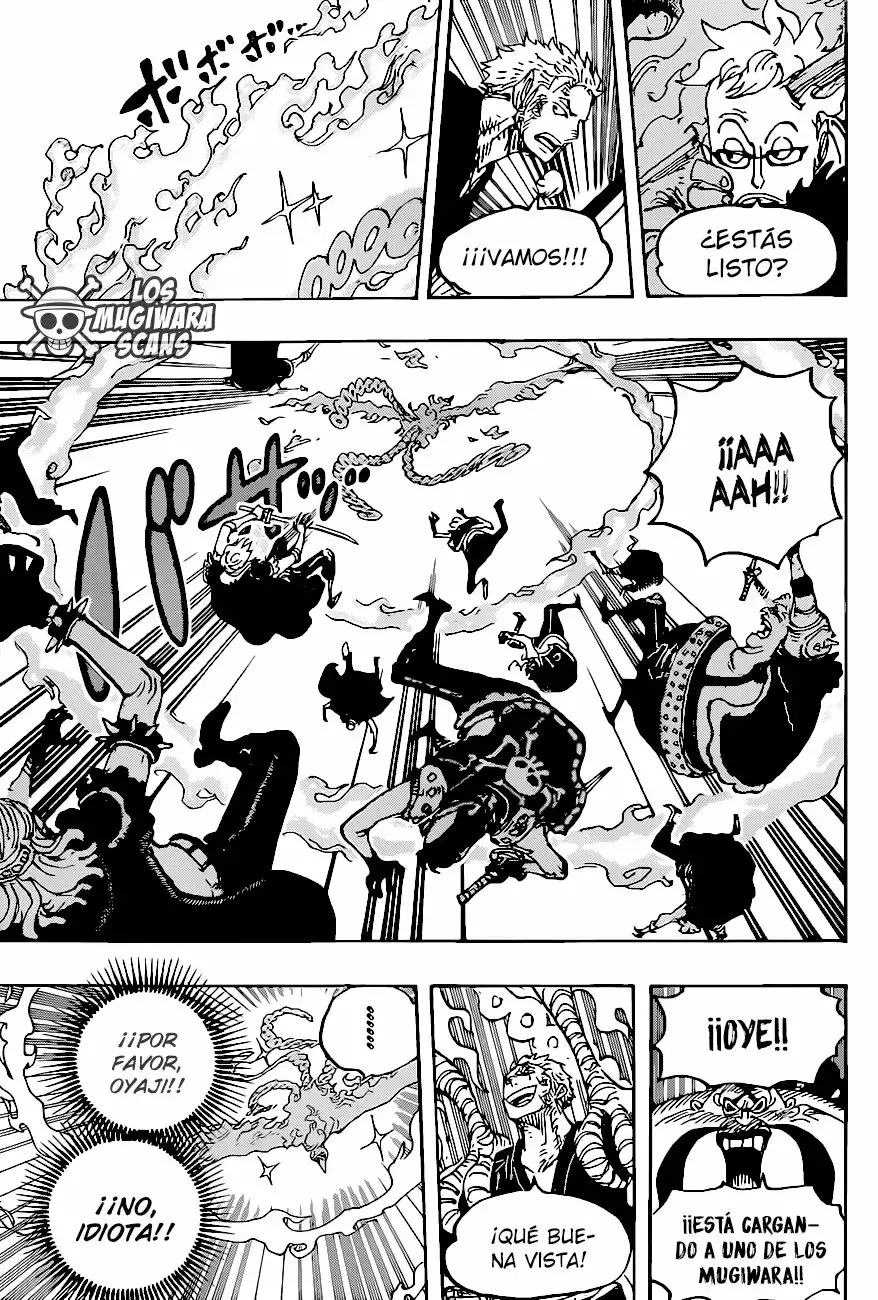 One Piece Capitulo 999.5 página 13