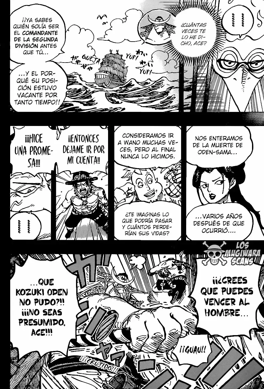 One Piece Capitulo 999.5 página 14