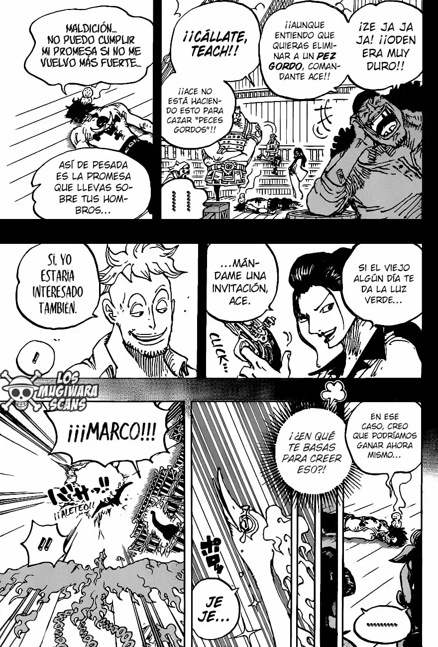One Piece Capitulo 999.5 página 15