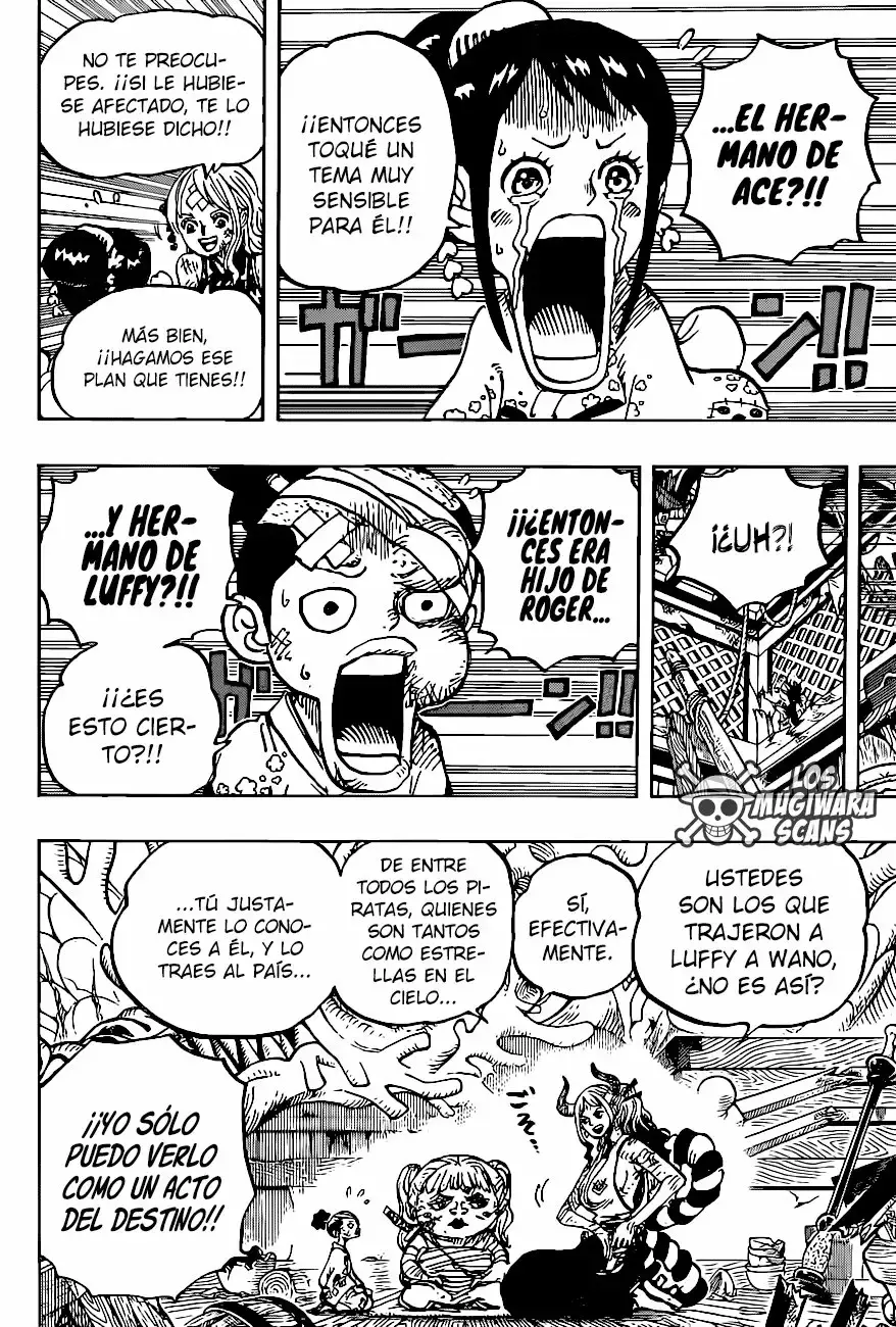 One Piece Capitulo 999.5 página 17