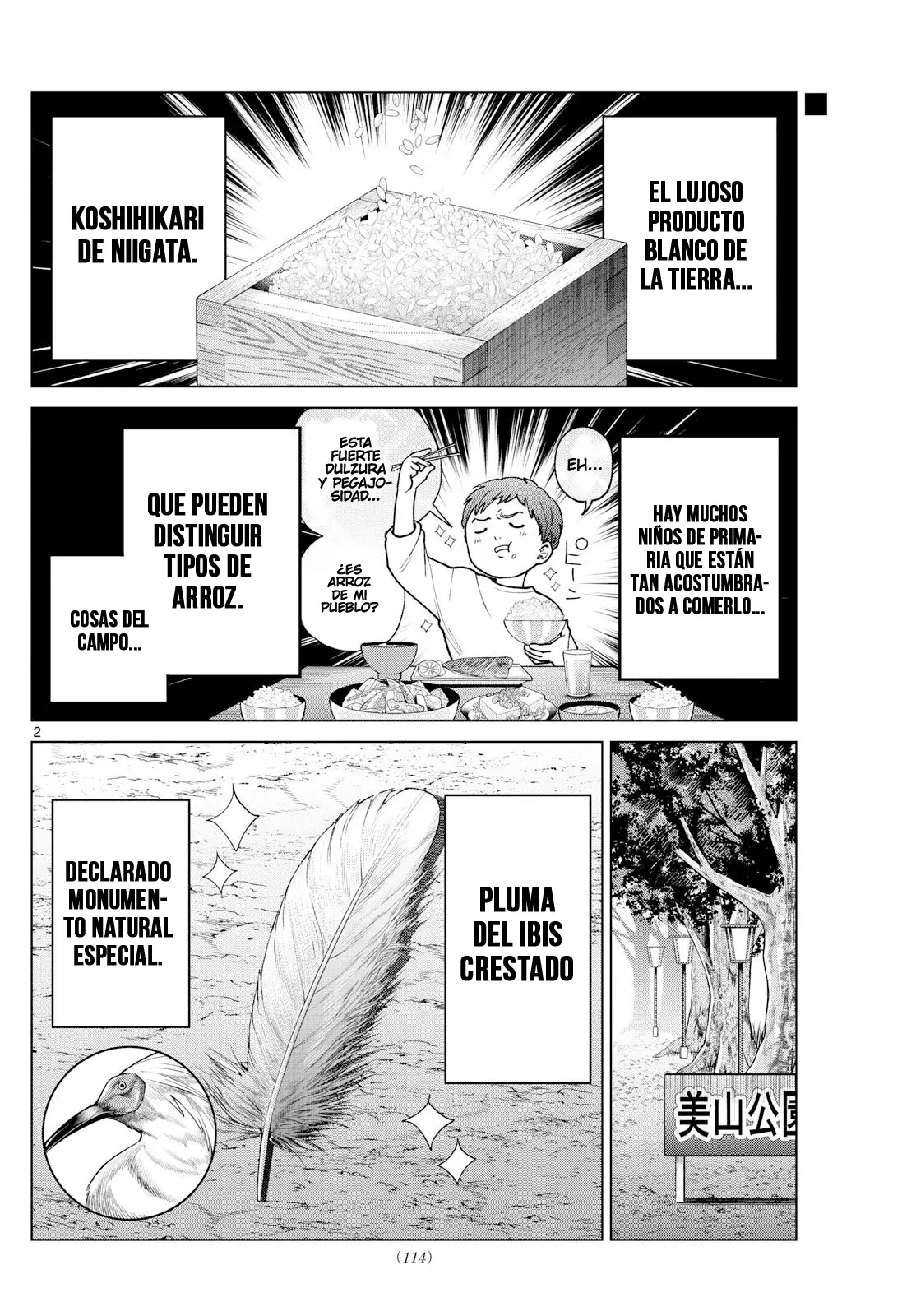 Momose Akira no Hatsukoi Hatan-chuu Capitulo 62: El amor y la ley chocan. página 3