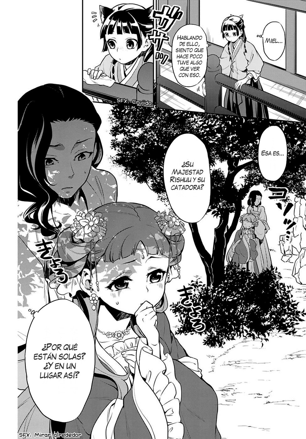 Kusuriya no Hitorigoto Capitulo 16: Miel (Parte 1) página 13