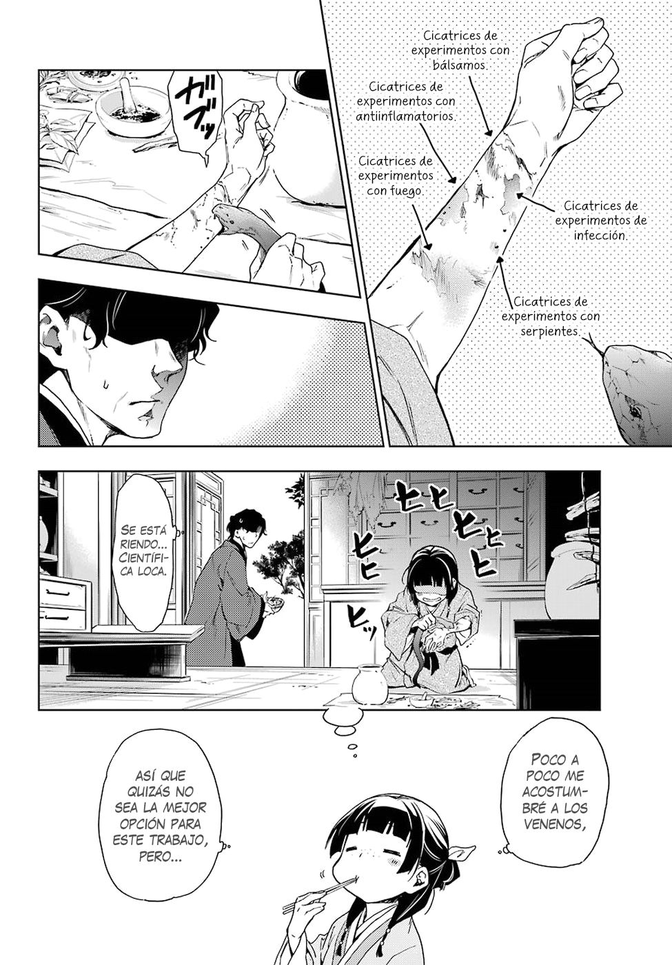 Kusuriya no Hitorigoto Capitulo 2: Científica loca página 17