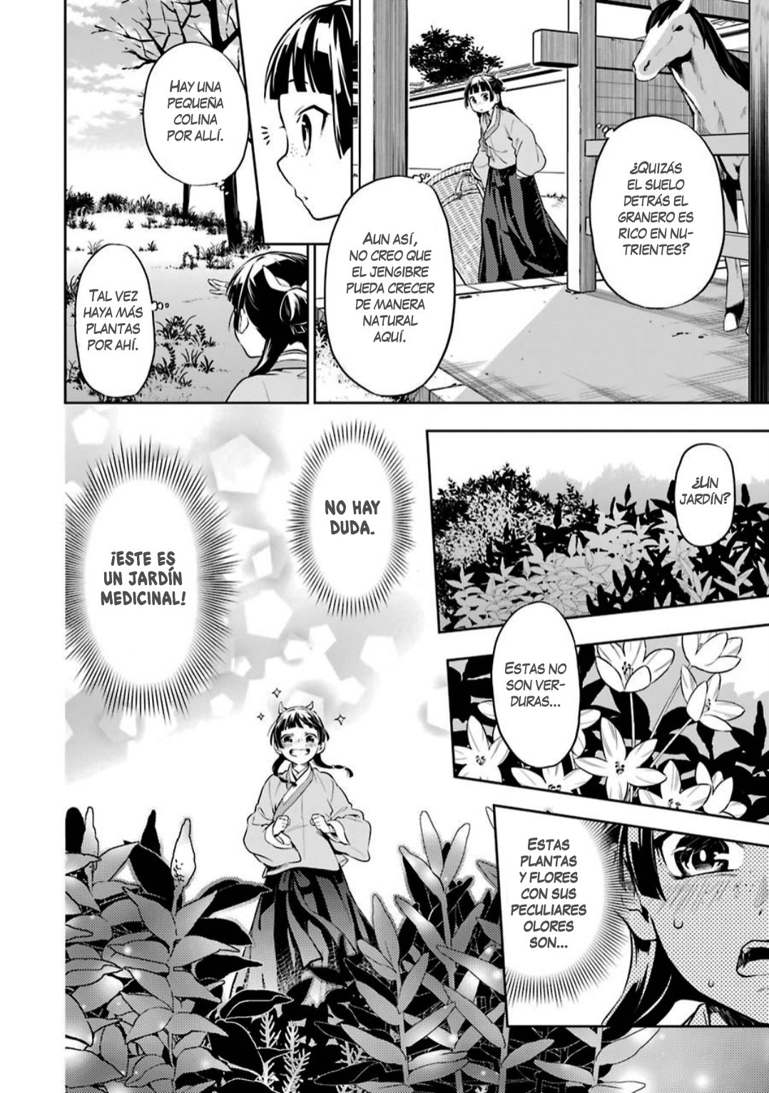 Kusuriya no Hitorigoto Capitulo 30: Sui Rei página 19