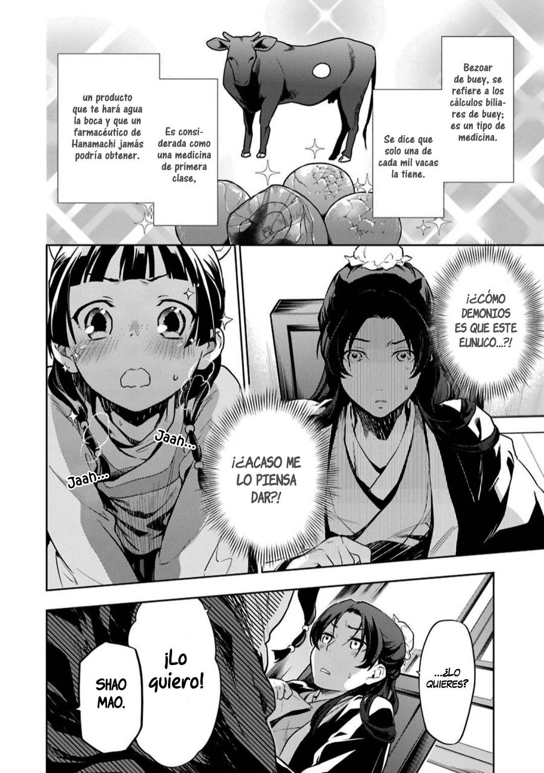Kusuriya no Hitorigoto Capitulo 31: ¿Coincidencia o inevitable? página 17