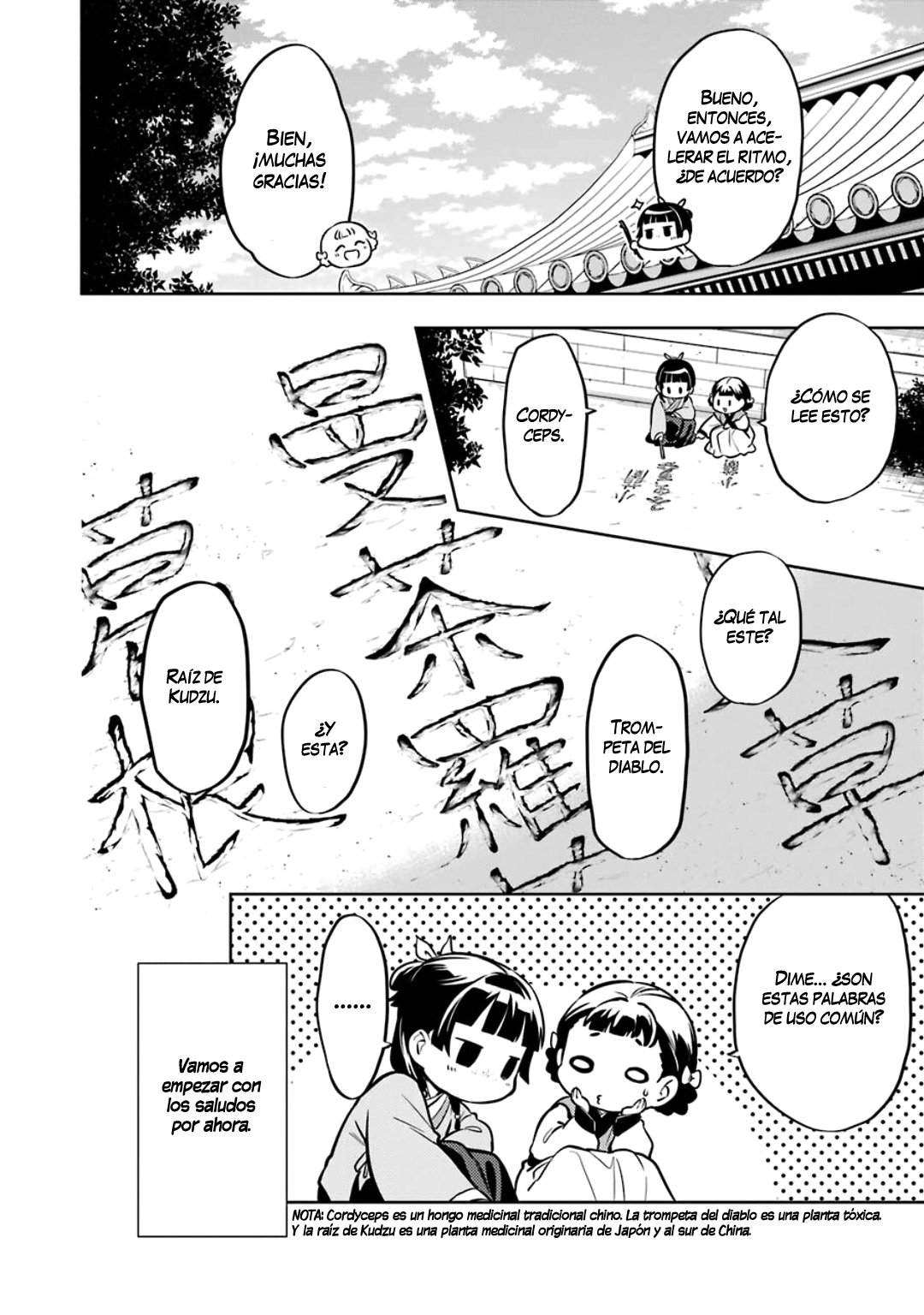 Kusuriya no Hitorigoto Capitulo 41: Libro página 31