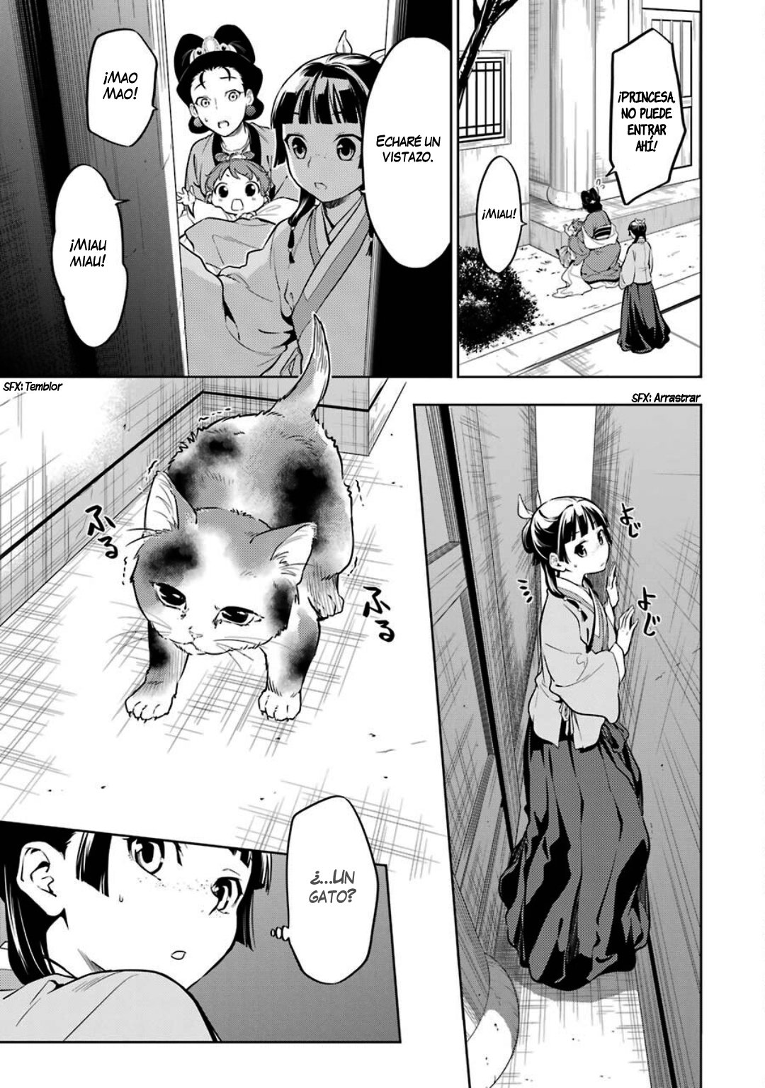 Kusuriya no Hitorigoto Capitulo 42: Gato página 10