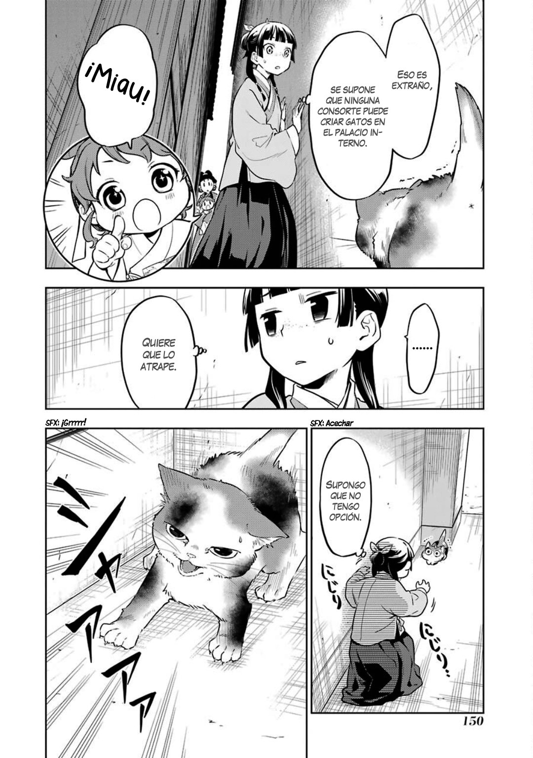 Kusuriya no Hitorigoto Capitulo 42: Gato página 11