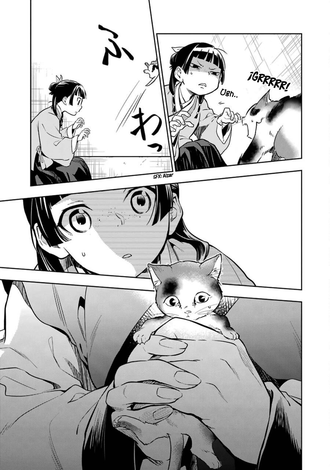 Kusuriya no Hitorigoto Capitulo 42: Gato página 12