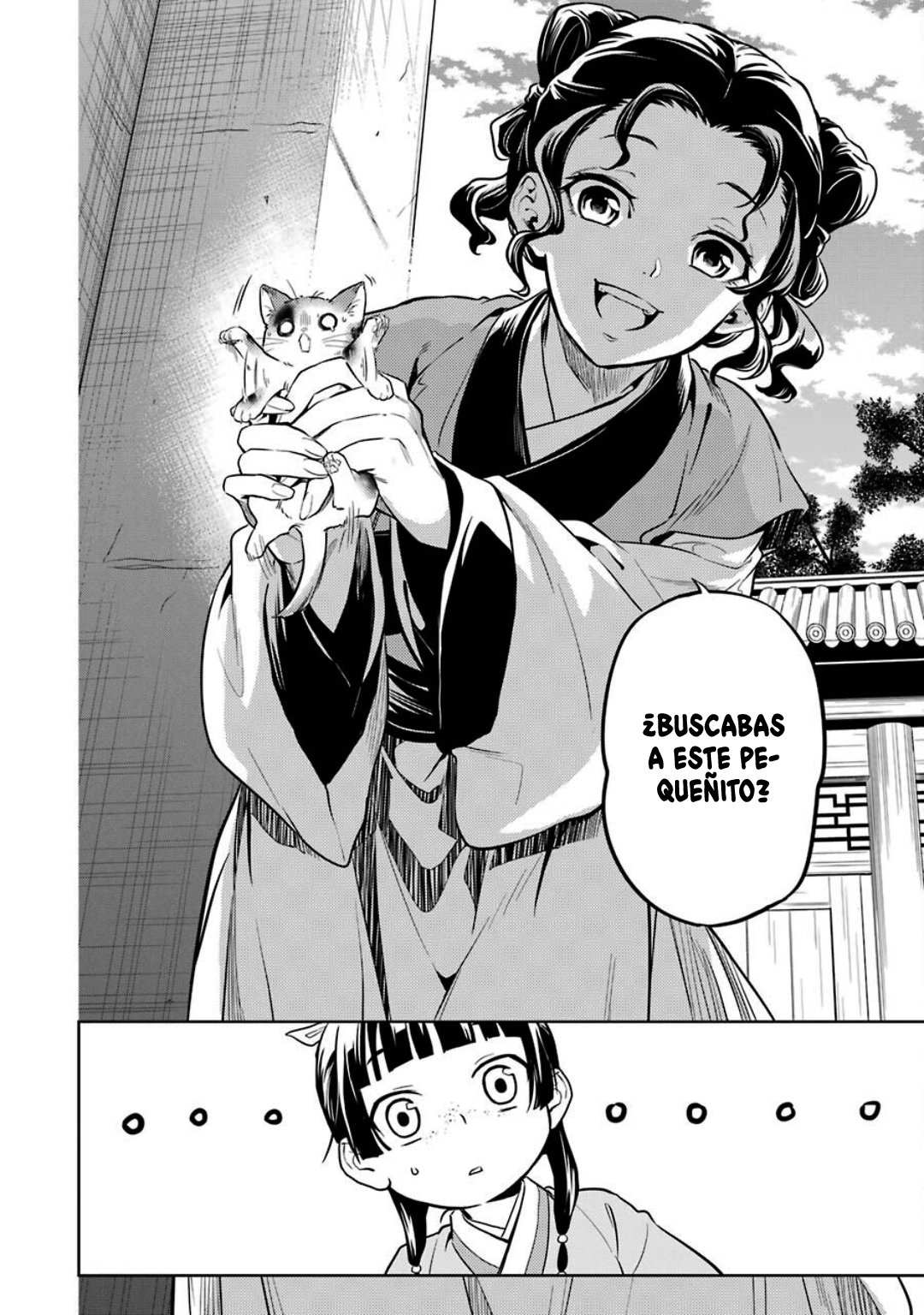 Kusuriya no Hitorigoto Capitulo 42: Gato página 13