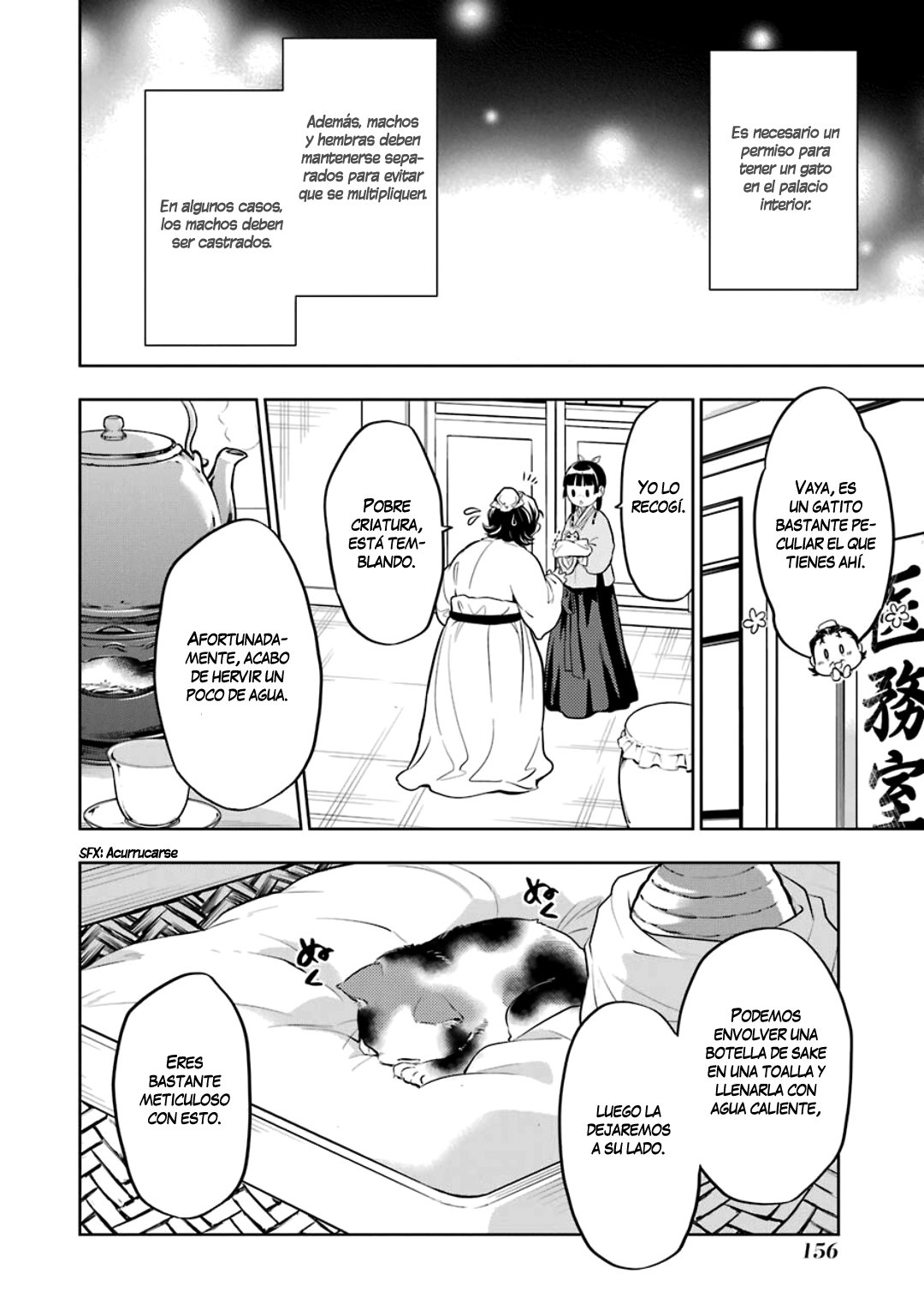 Kusuriya no Hitorigoto Capitulo 42: Gato página 17
