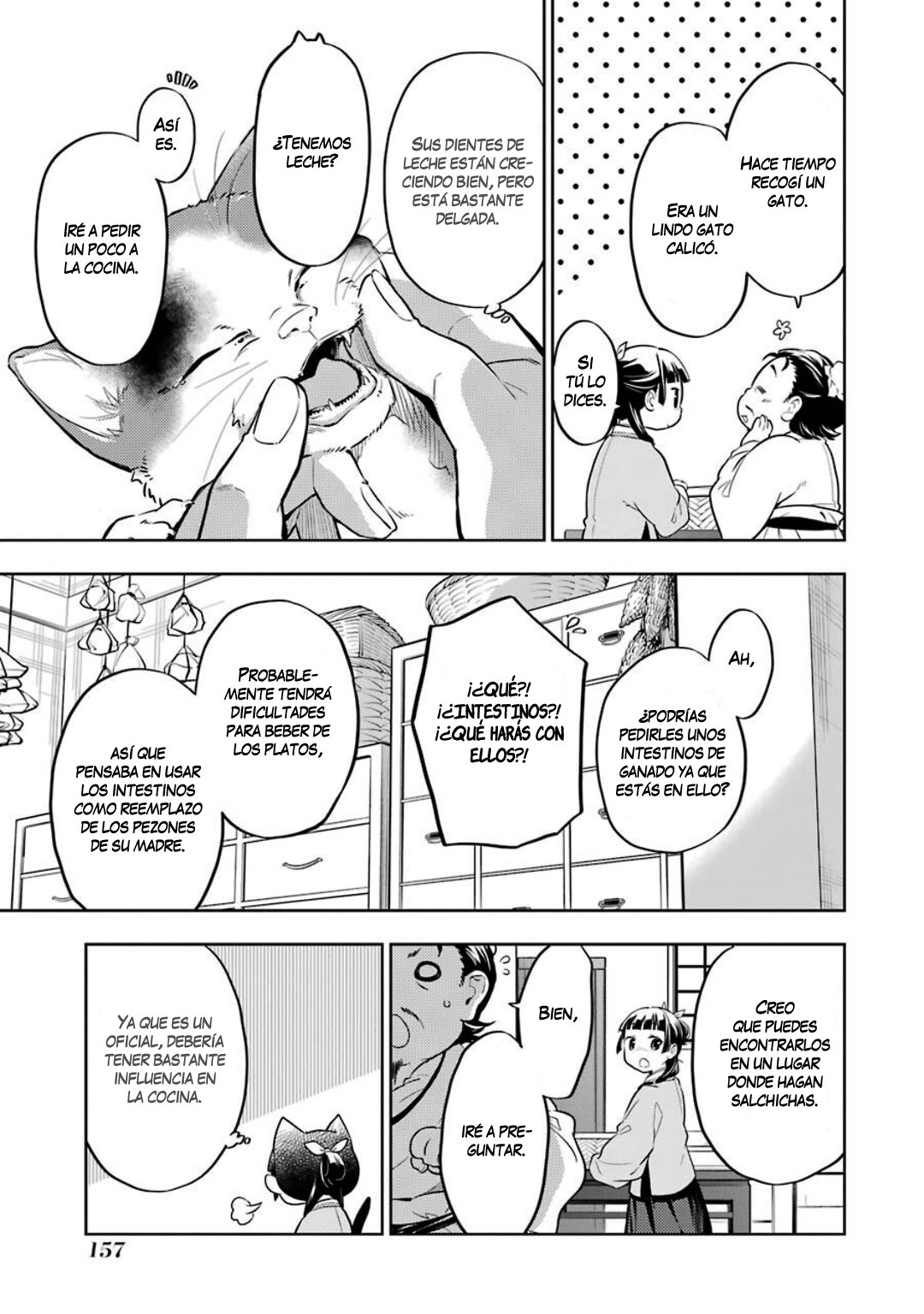 Kusuriya no Hitorigoto Capitulo 42: Gato página 18