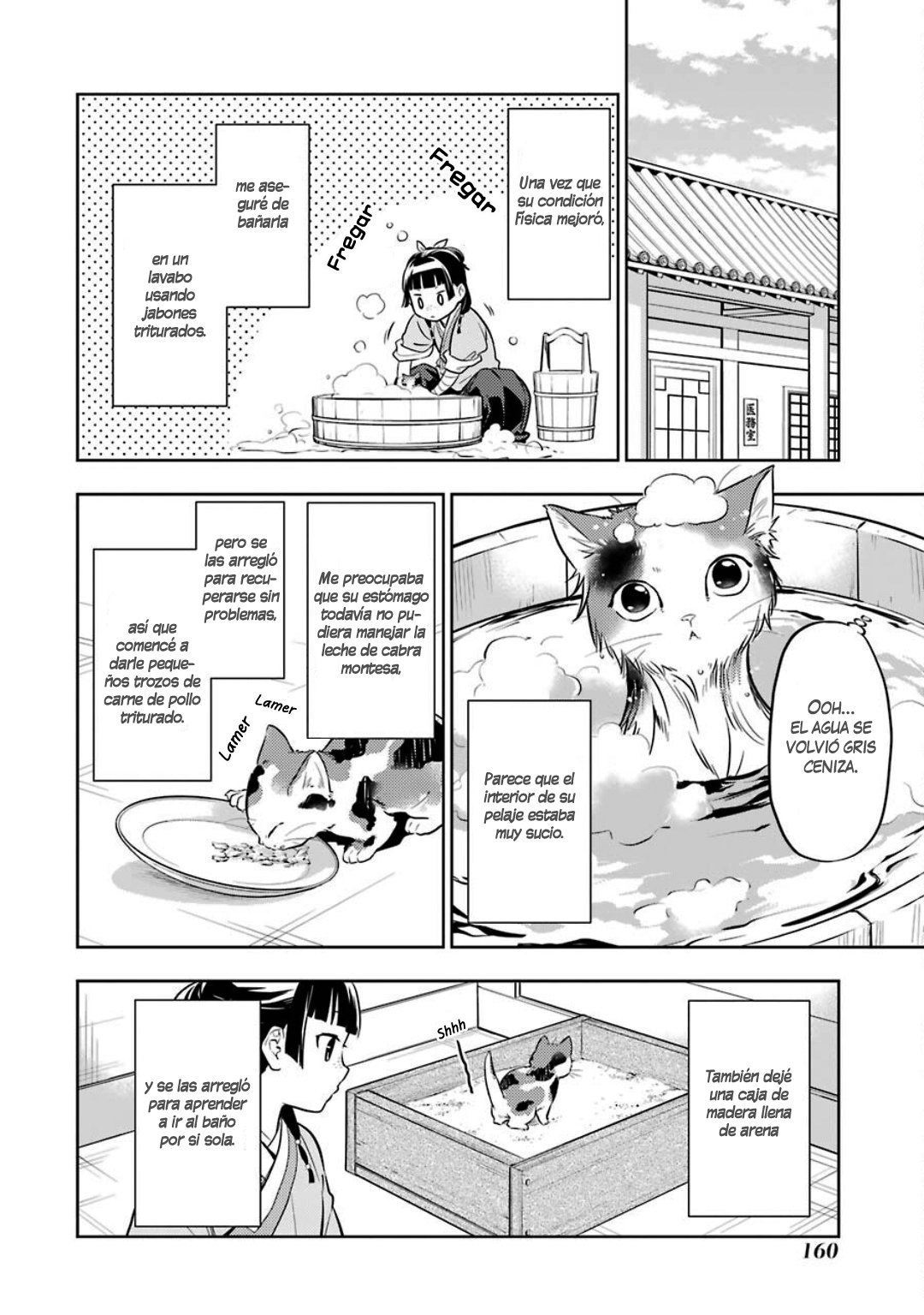 Kusuriya no Hitorigoto Capitulo 42: Gato página 21