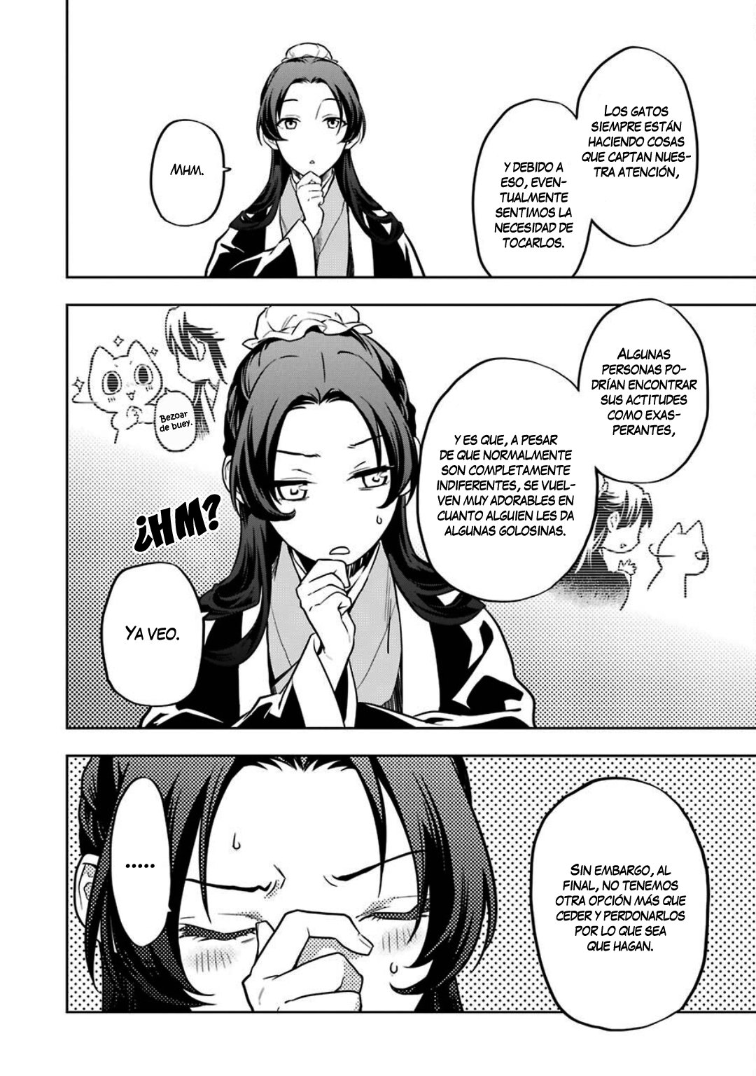 Kusuriya no Hitorigoto Capitulo 42: Gato página 27