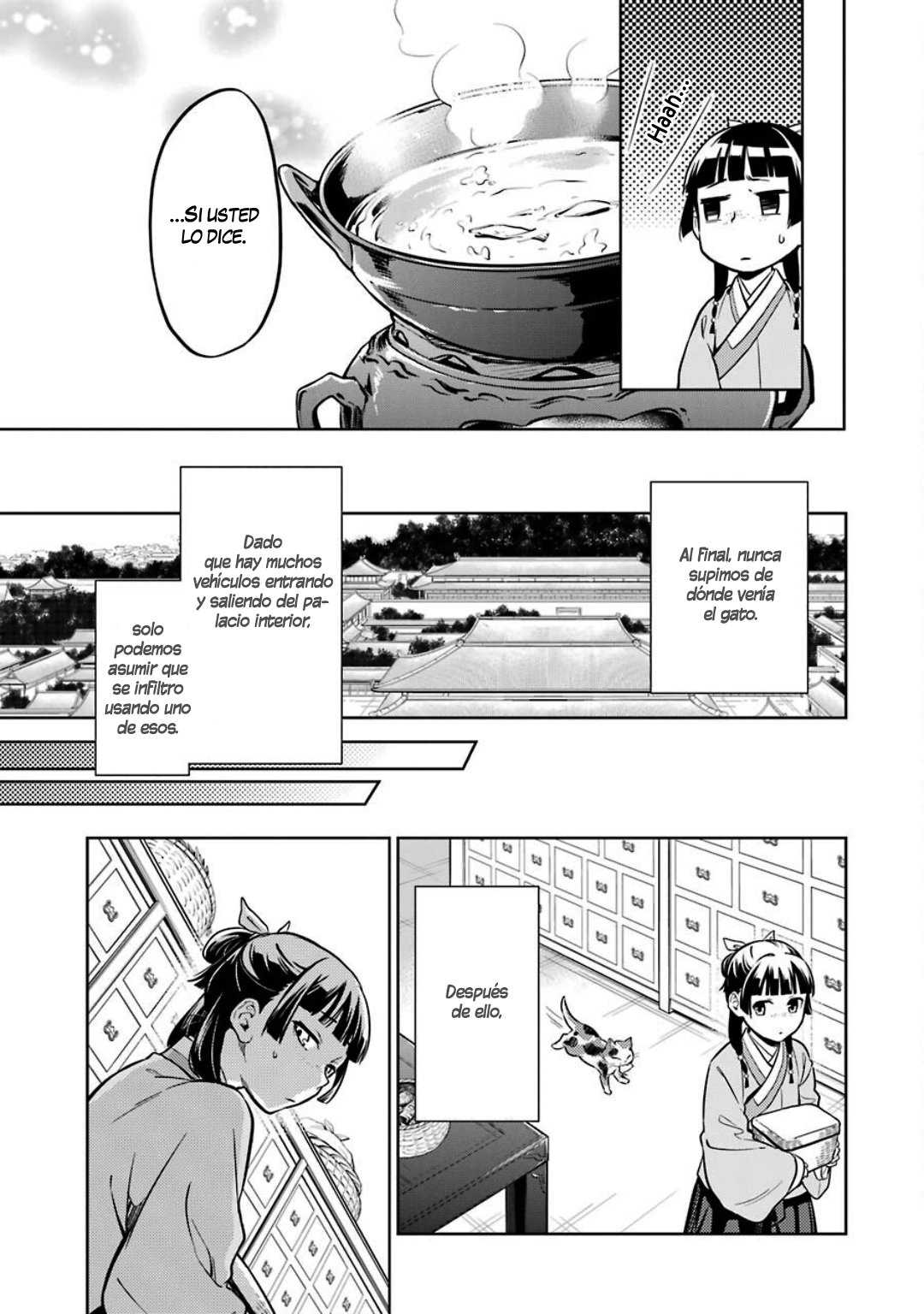 Kusuriya no Hitorigoto Capitulo 42: Gato página 30