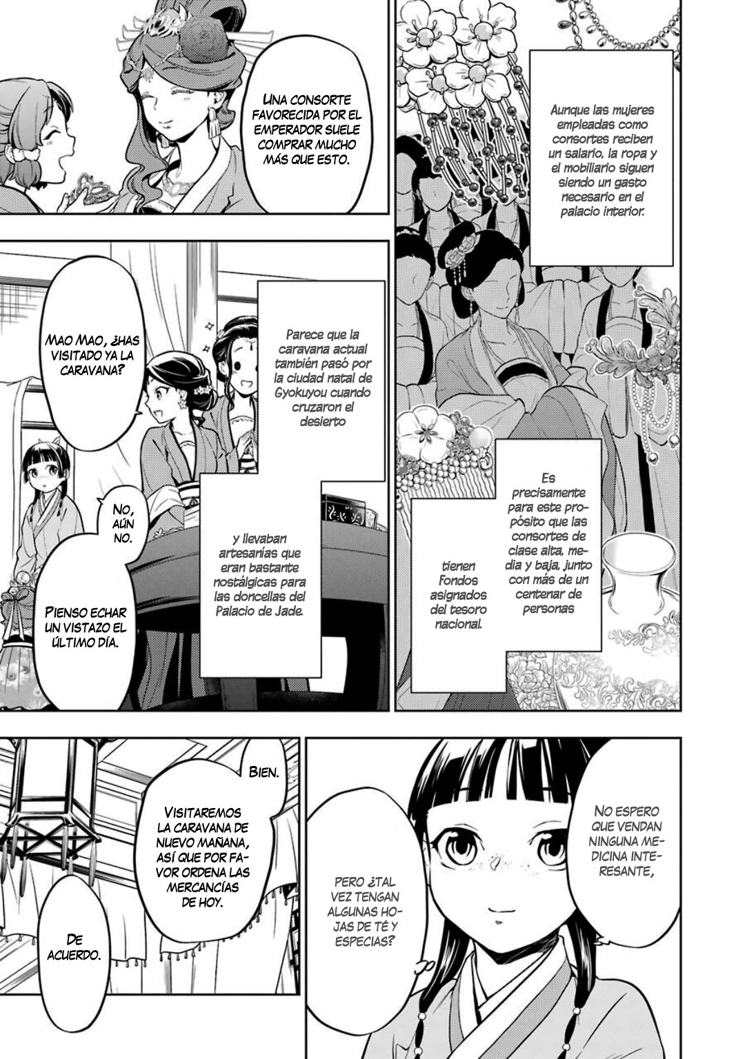 Kusuriya no Hitorigoto Capitulo 43: Carava página 11