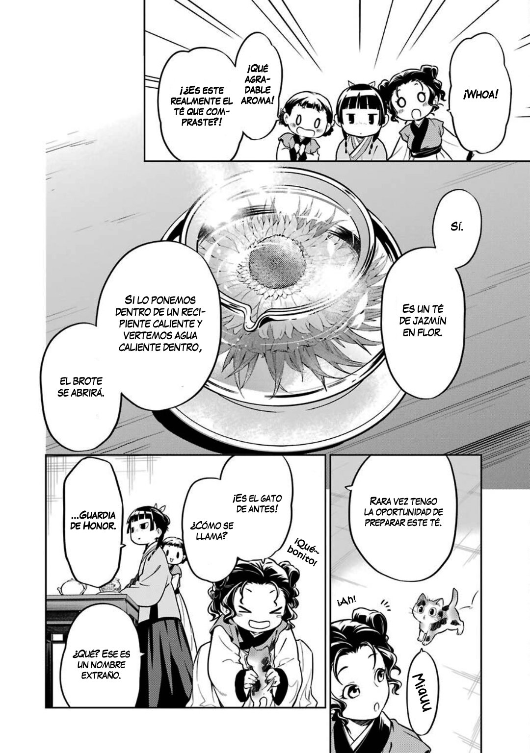 Kusuriya no Hitorigoto Capitulo 43: Carava página 20