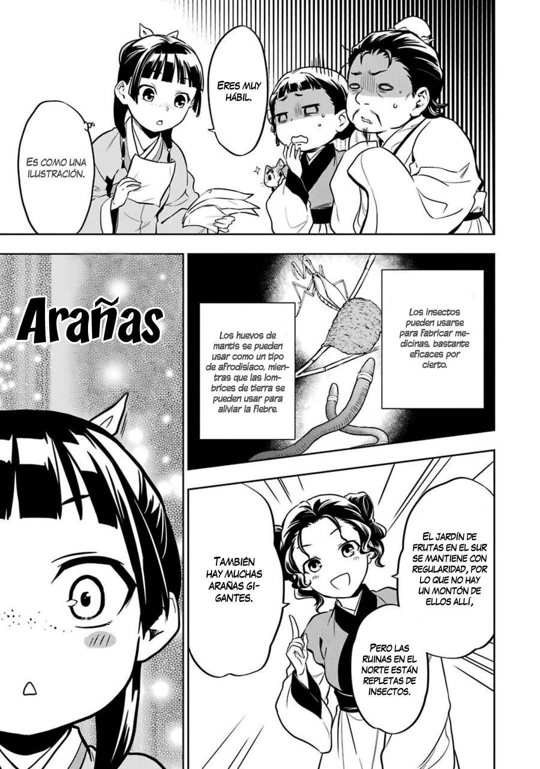Kusuriya no Hitorigoto Capitulo 43: Carava página 25