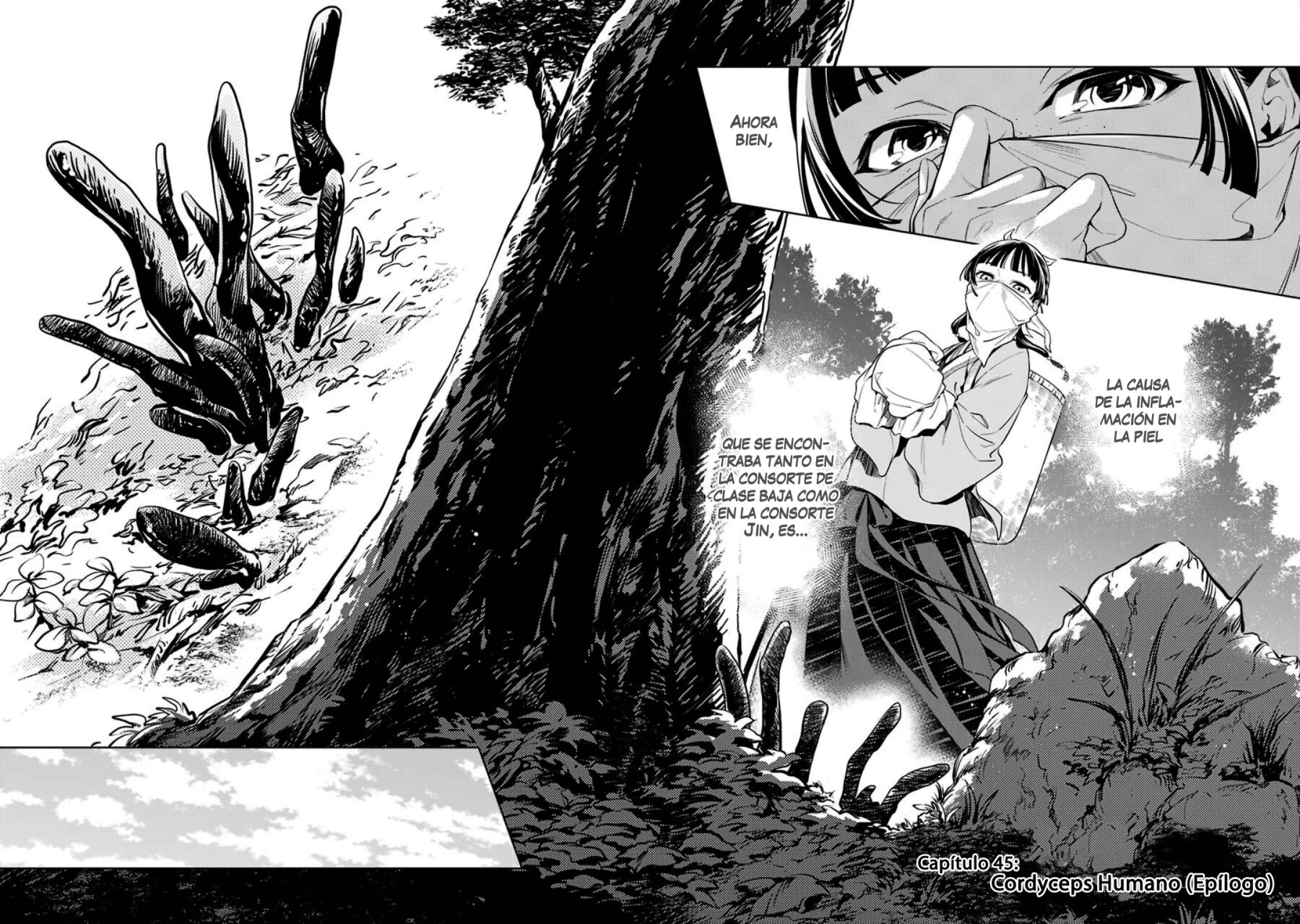 Kusuriya no Hitorigoto Capitulo 45: Cordyceps humano (Epílogo) página 3