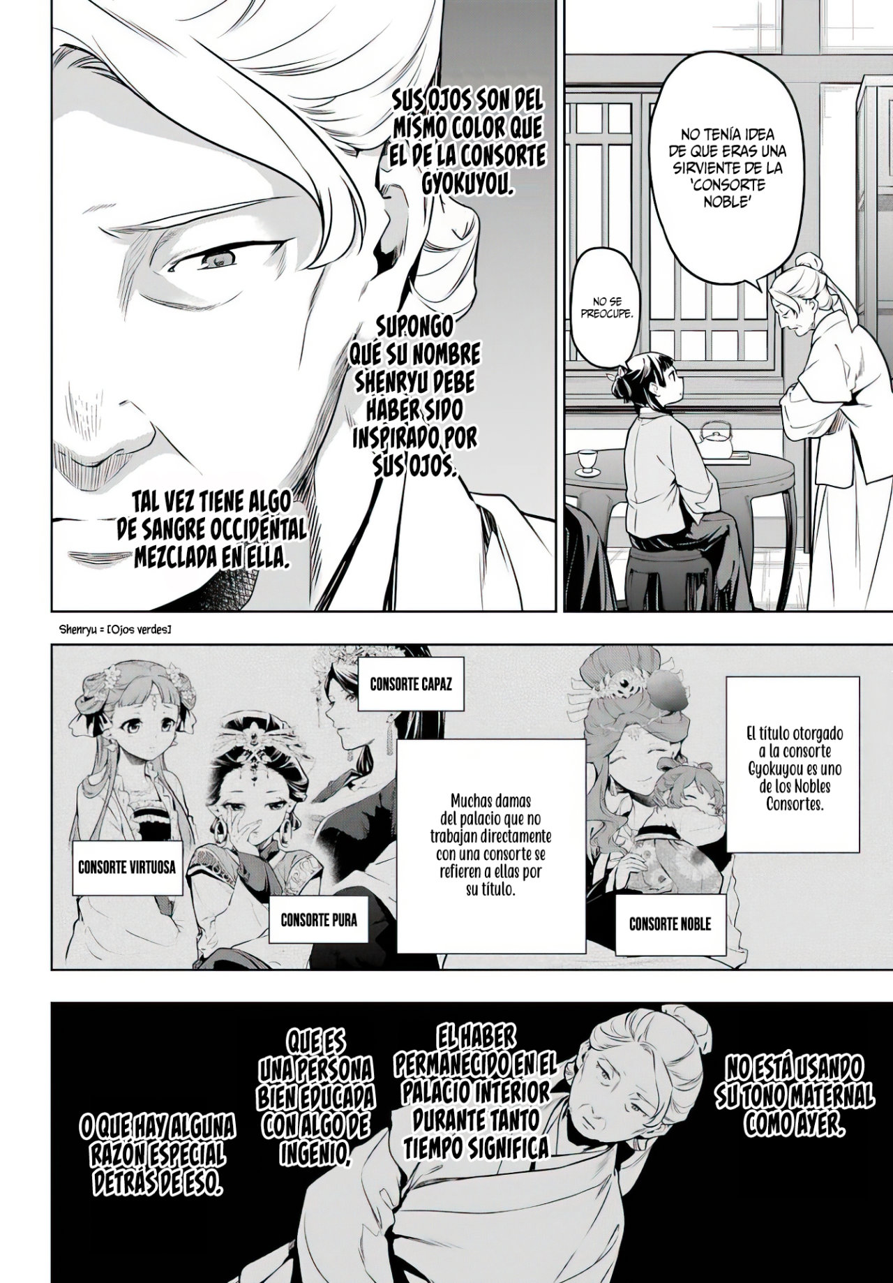 Kusuriya no Hitorigoto Capitulo 50: La Tercera es la Vencida [Parte I] página 11