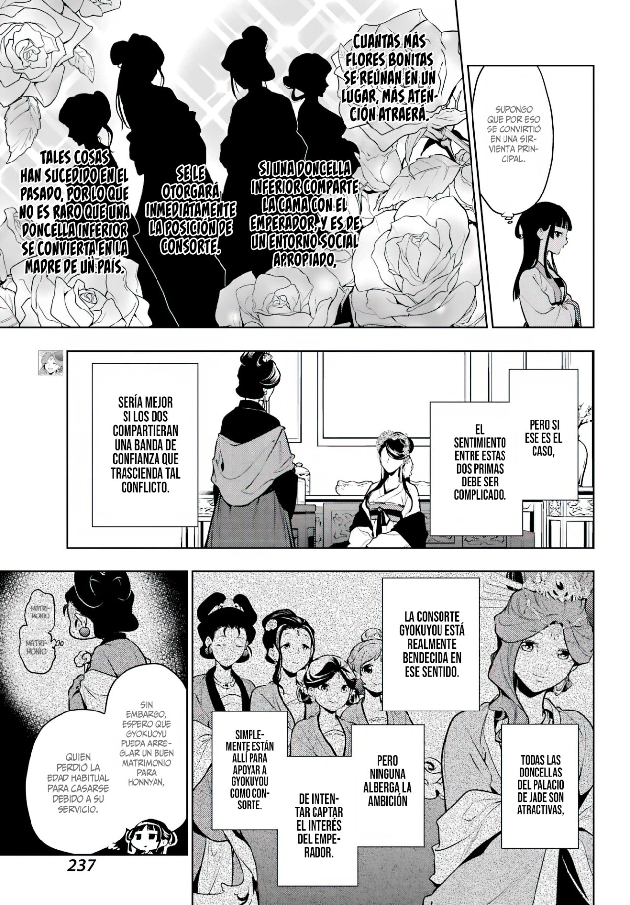Kusuriya no Hitorigoto Capitulo 52: La tercera vez es la vencida [Parte III] página 8