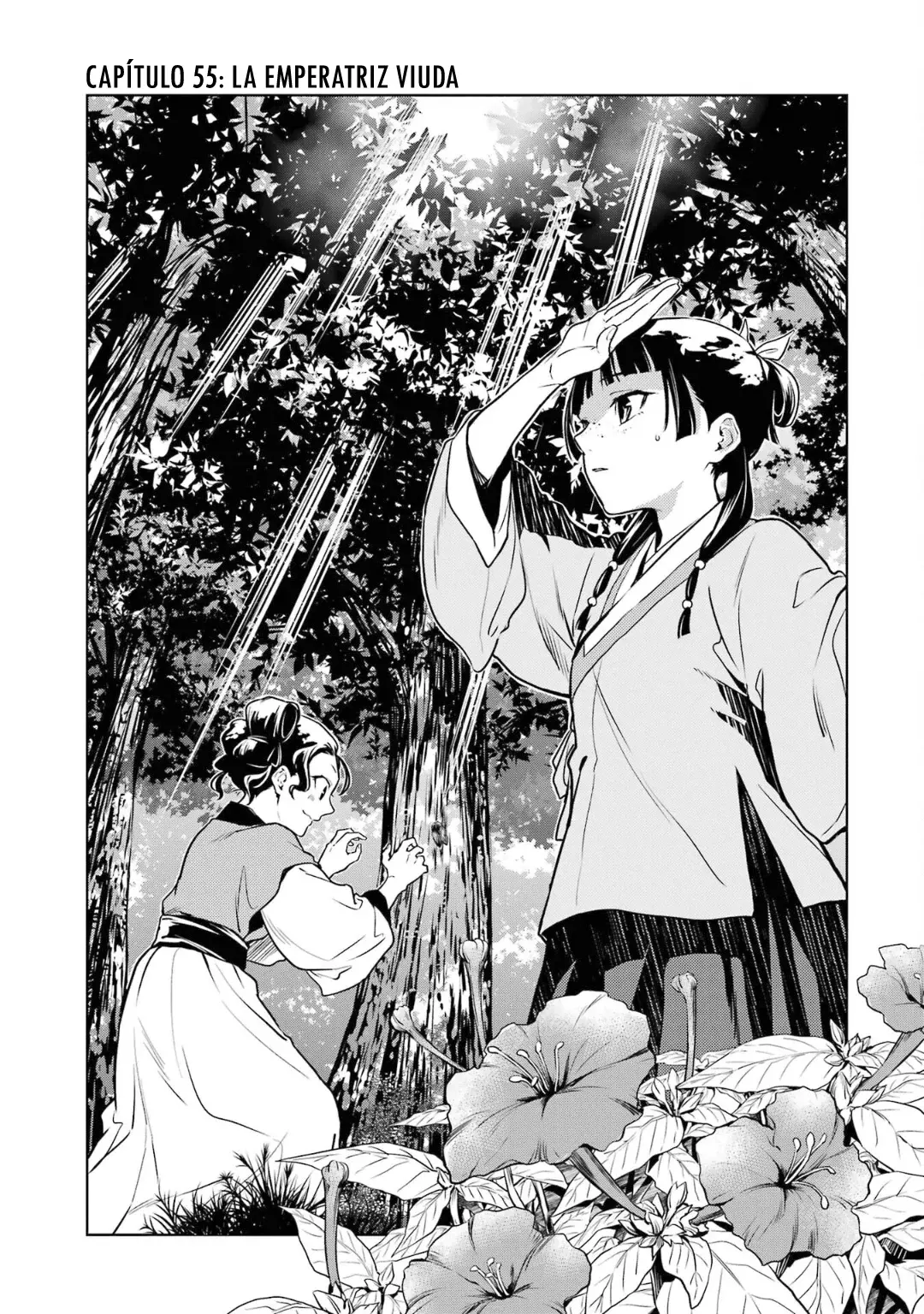 Kusuriya no Hitorigoto Capitulo 55: La Emperatriz Viuda página 15