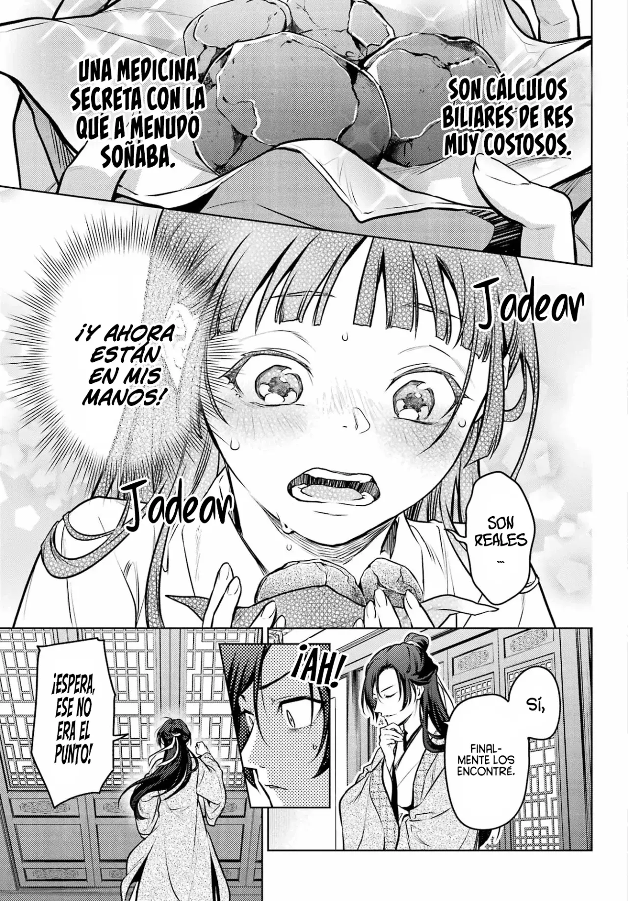 Kusuriya no Hitorigoto Capitulo 64: El Caballero Enmascarado. página 17