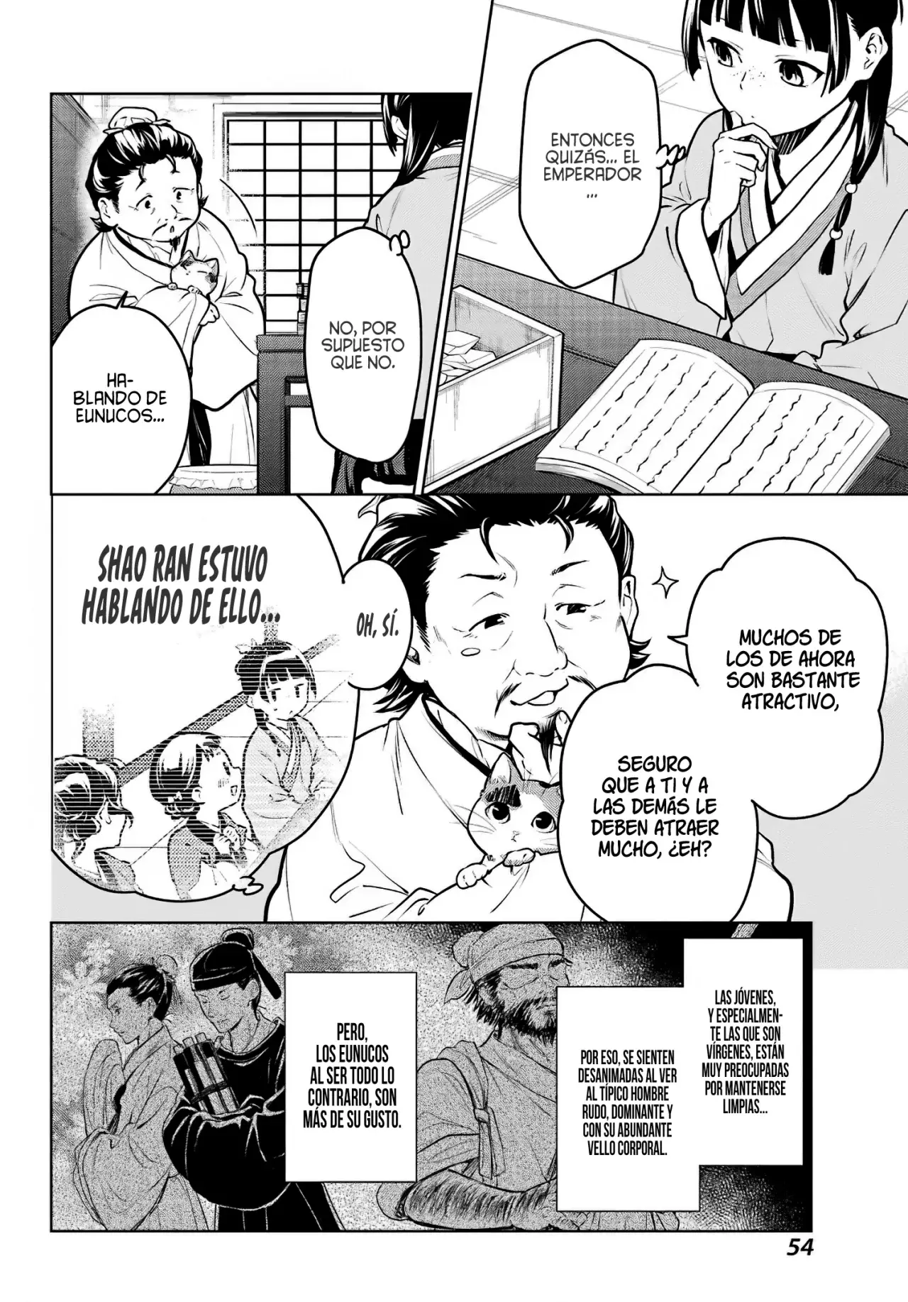 Kusuriya no Hitorigoto Capitulo 68: Los Rumoreados Eunucos y el Helado. página 13