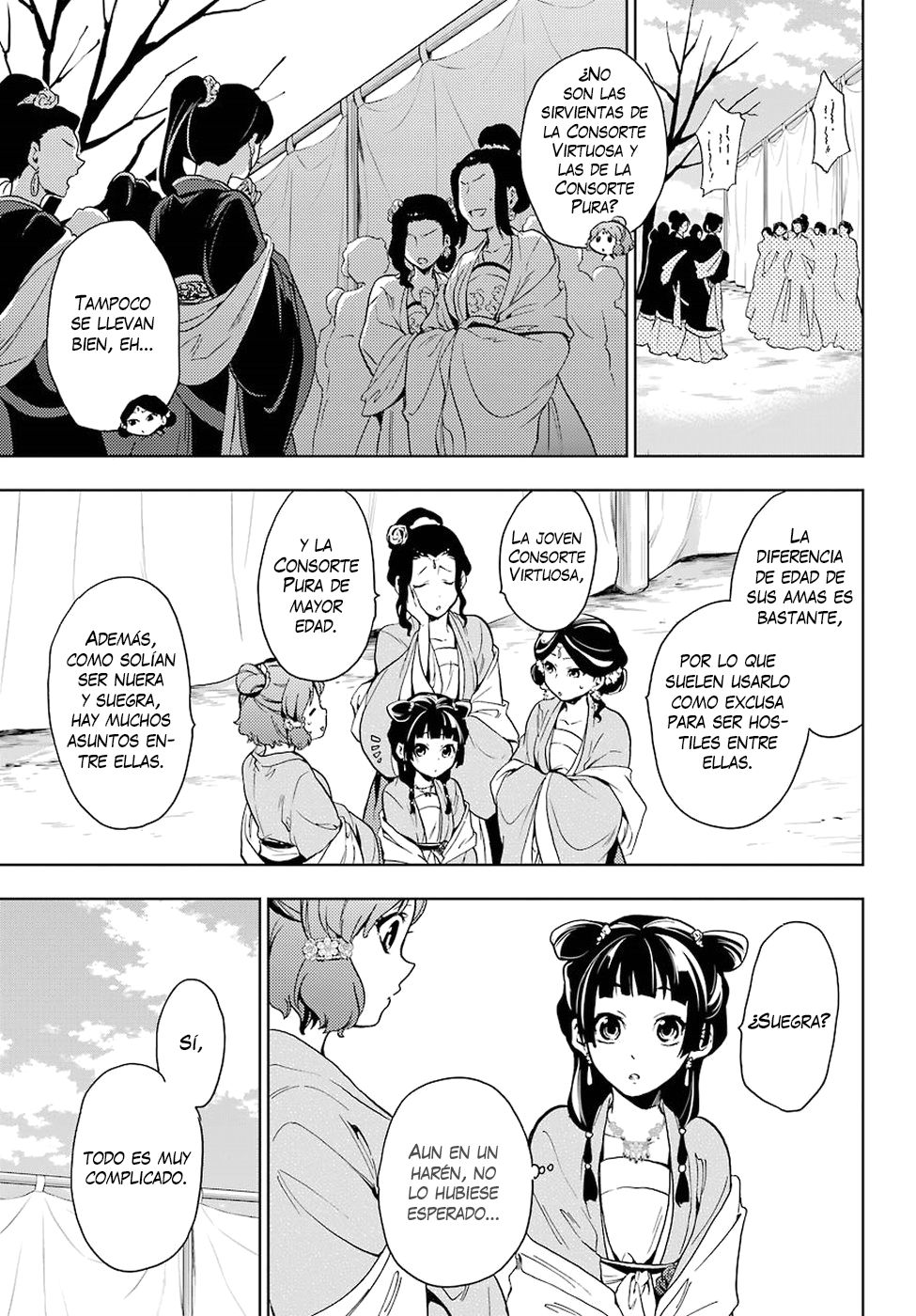 Kusuriya no Hitorigoto Capitulo 7: Fiesta en el jardín (Parte 2) página 13