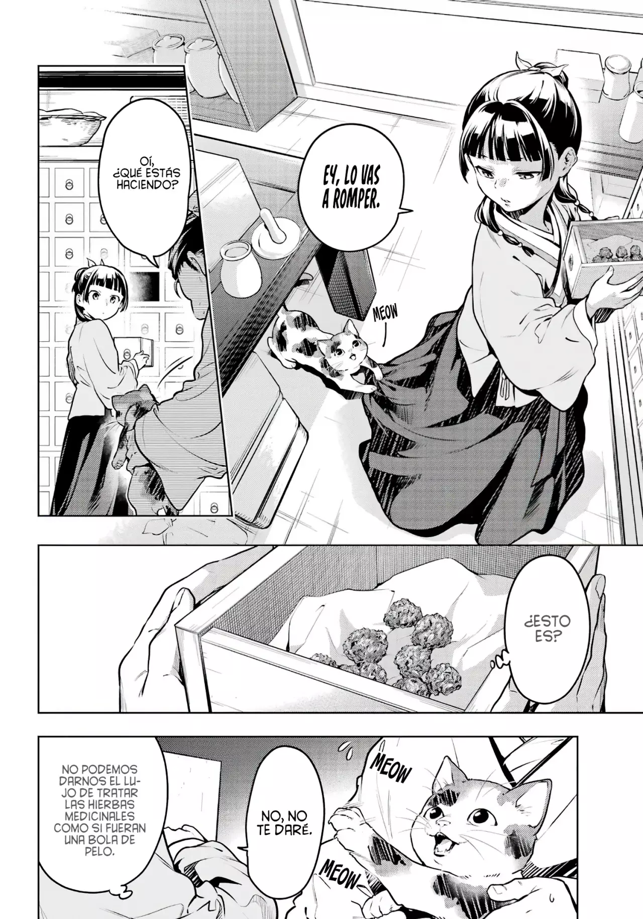 Kusuriya no Hitorigoto Capitulo 70: La Creación de la Malicia. página 14