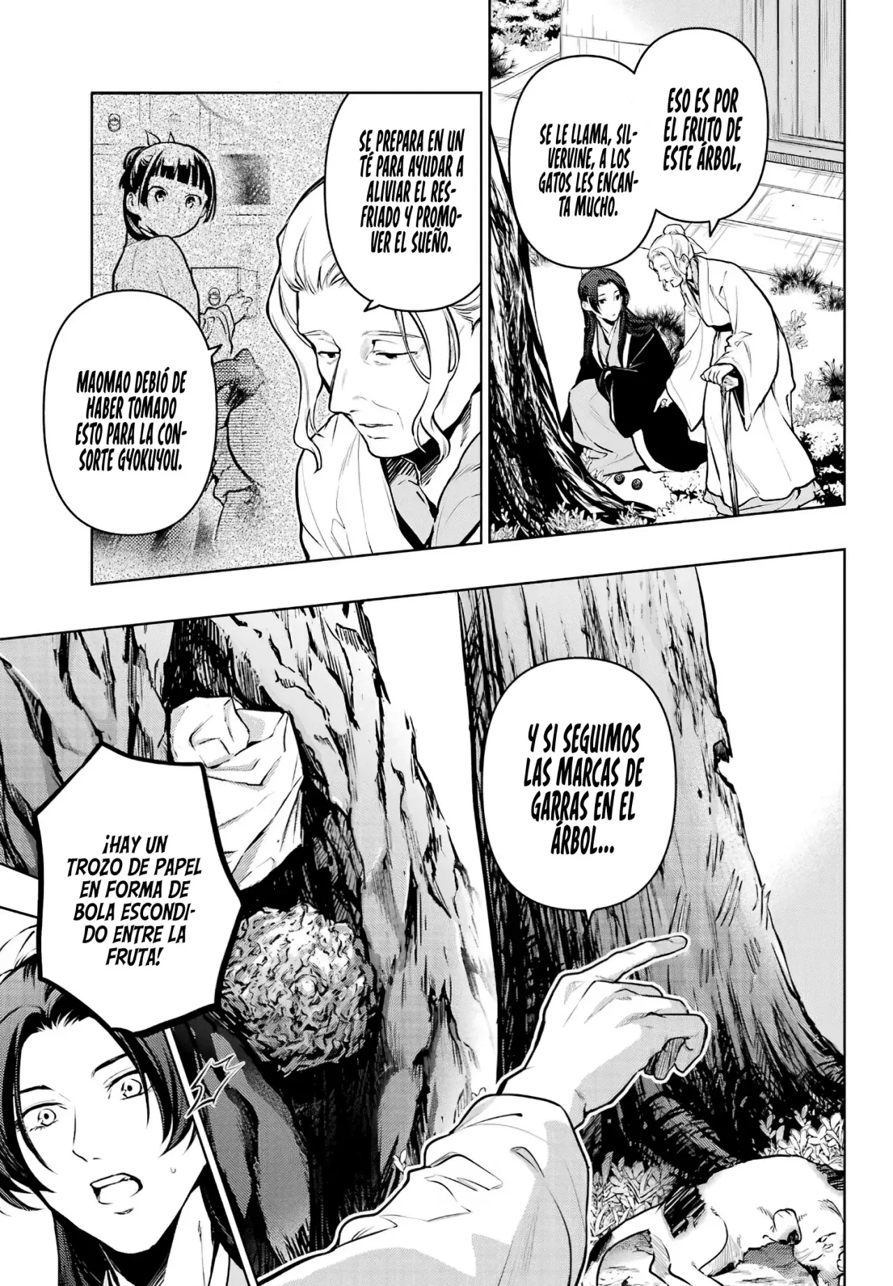 Kusuriya no Hitorigoto Capitulo 73: Persiguiendo las Huellas. página 12
