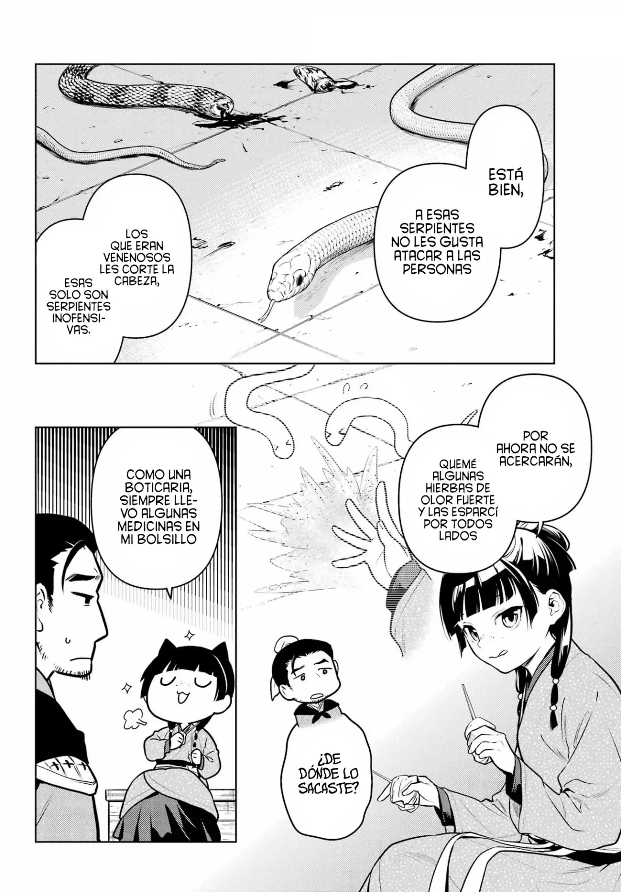 Kusuriya no Hitorigoto Capitulo 80: Feifa [1ra Parte] página 11