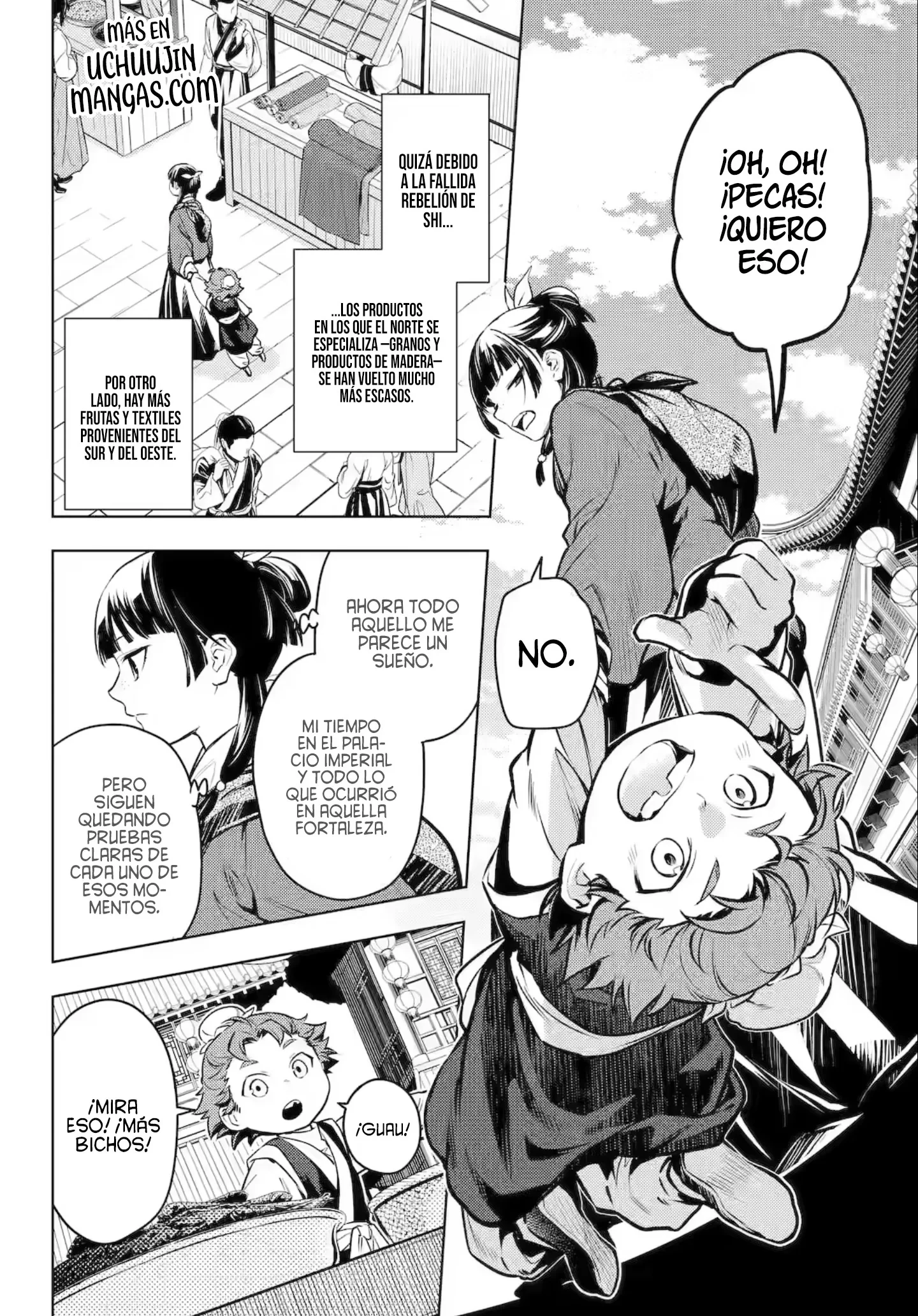 Kusuriya no Hitorigoto Capitulo 86.1 página 14