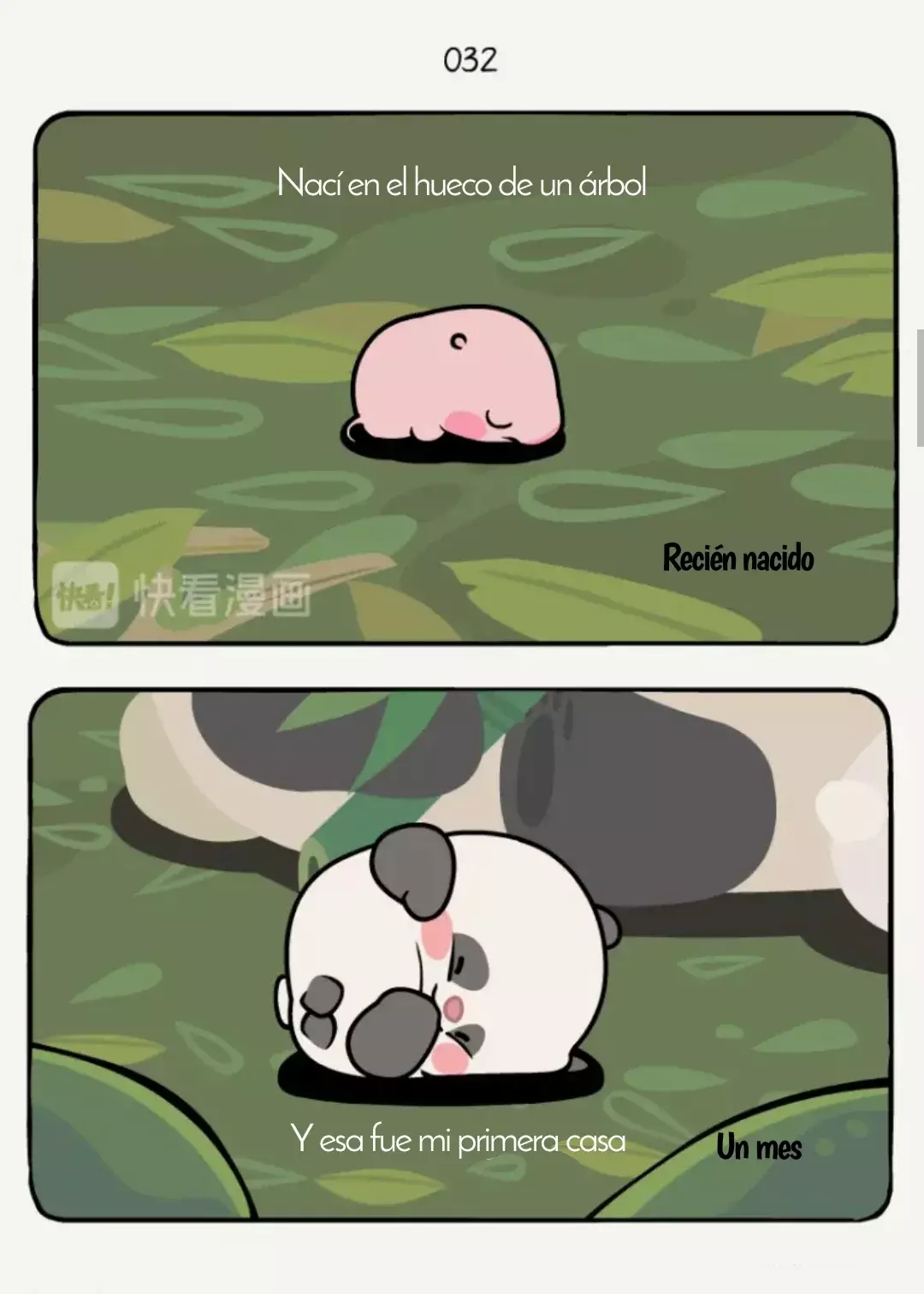 Compañeros de Bambú Capitulo 11: El agujero en el árbol página 4