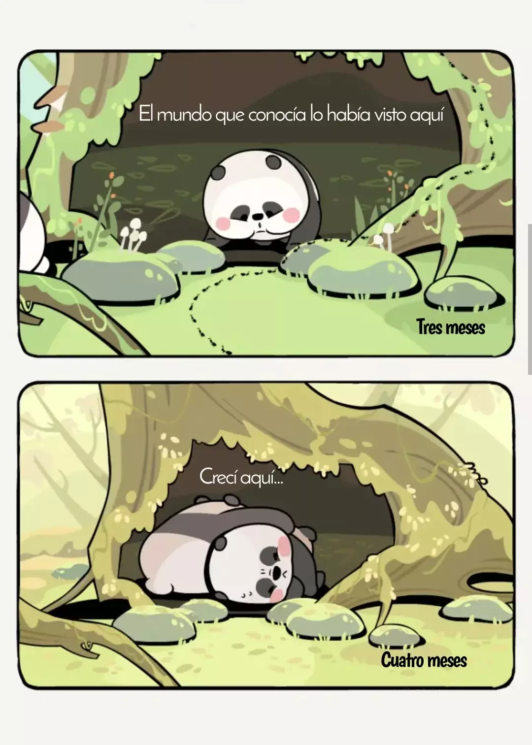 Compañeros de Bambú Capitulo 11: El agujero en el árbol página 5