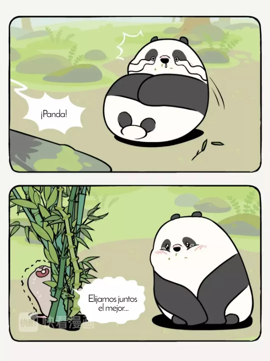 Compañeros de Bambú Capitulo 12: bambu espinoso página 11