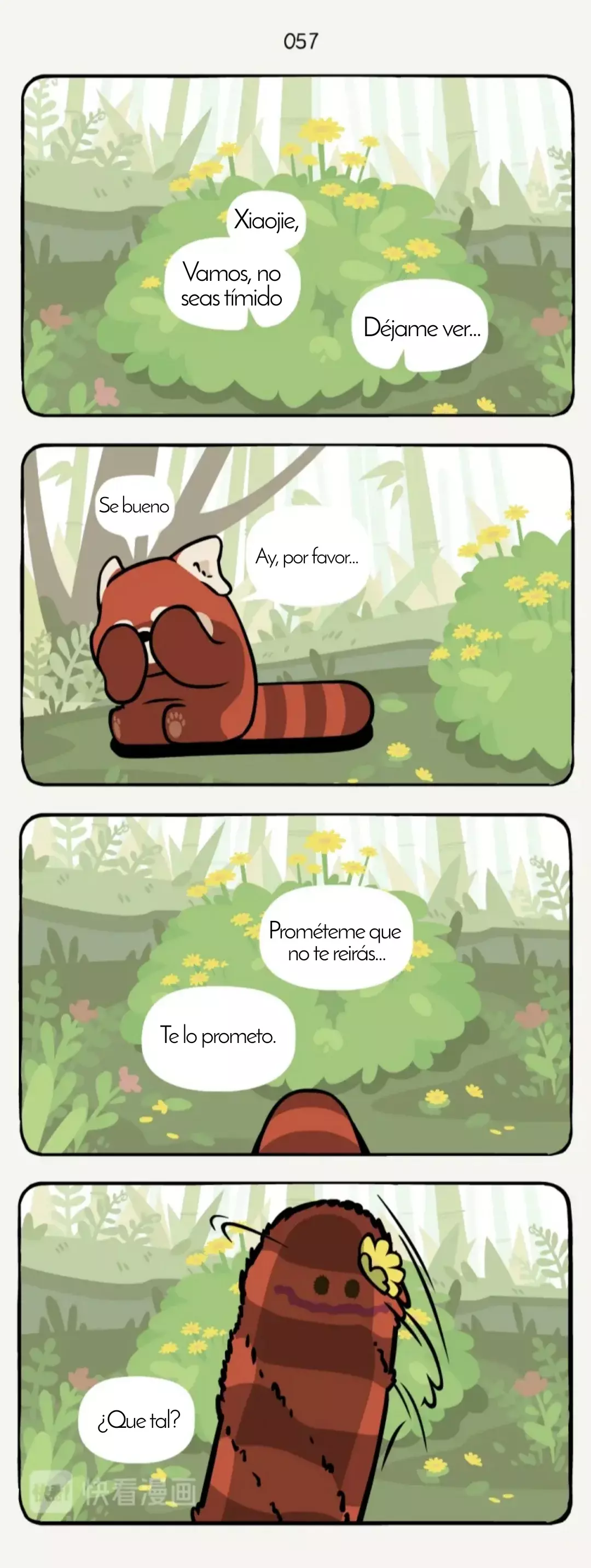 Compañeros de Bambú Capitulo 19: Panda rojo página 4