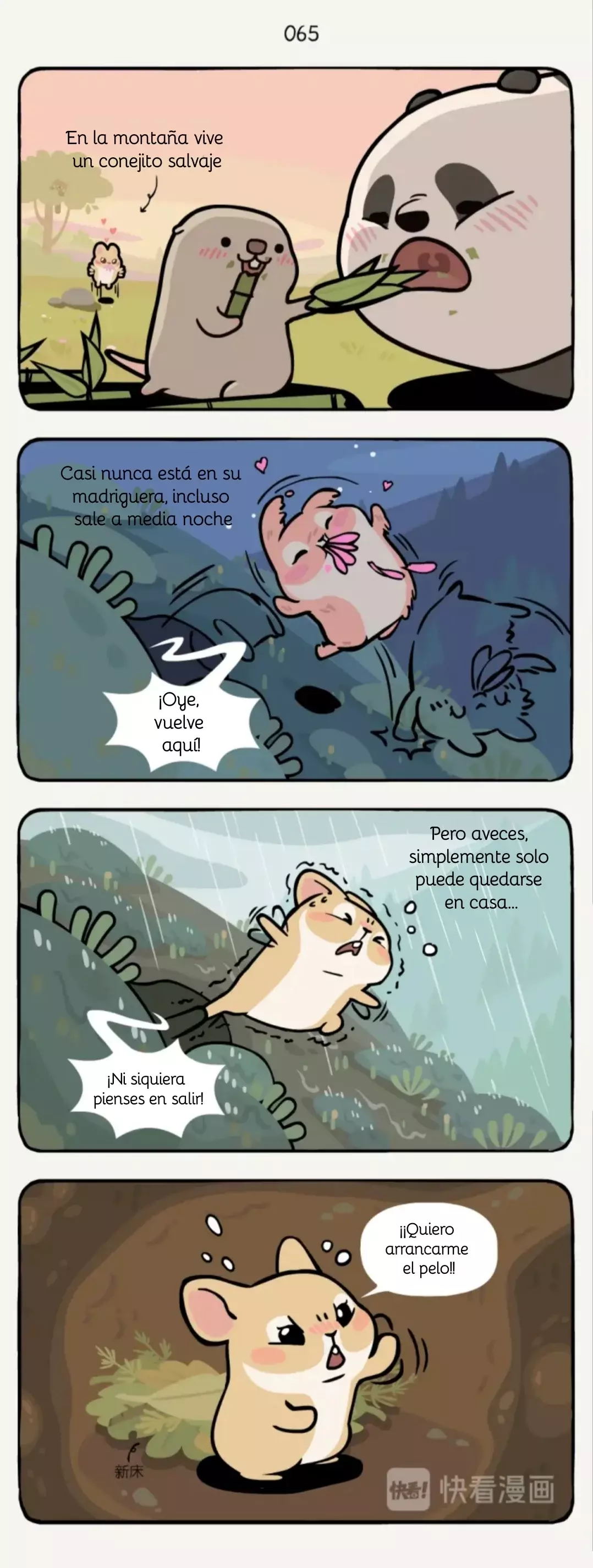 Compañeros de Bambú Capitulo 21: Cosmos página 3