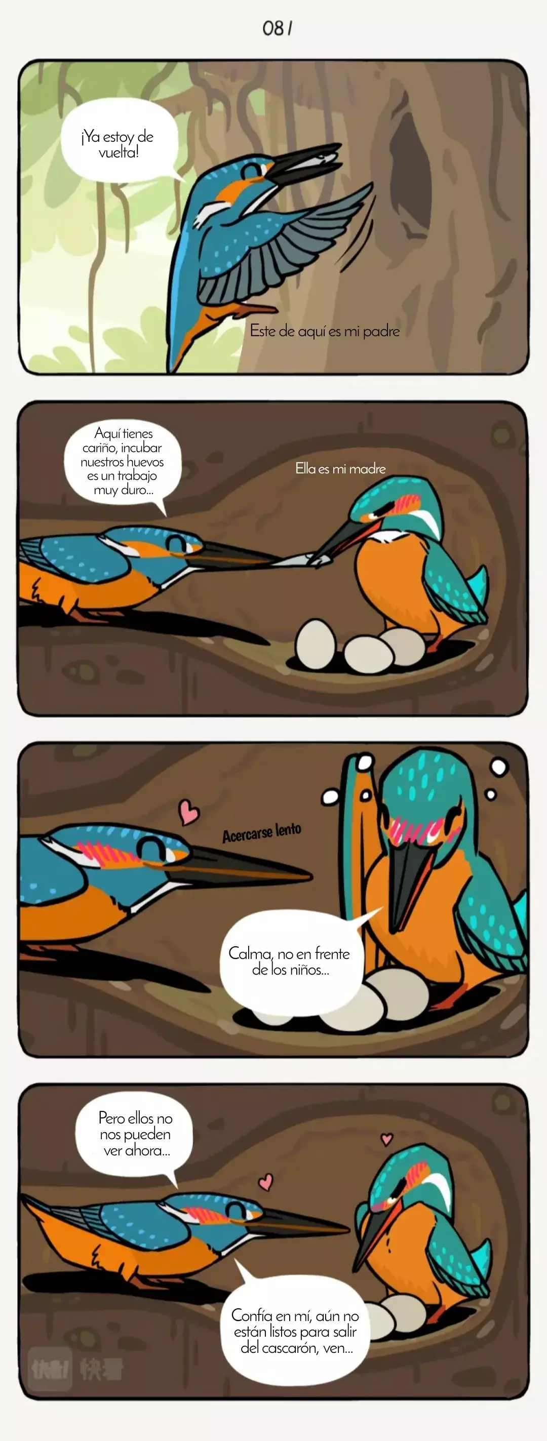 Compañeros de Bambú Capitulo 25: Pájaro Martín pescador página 4