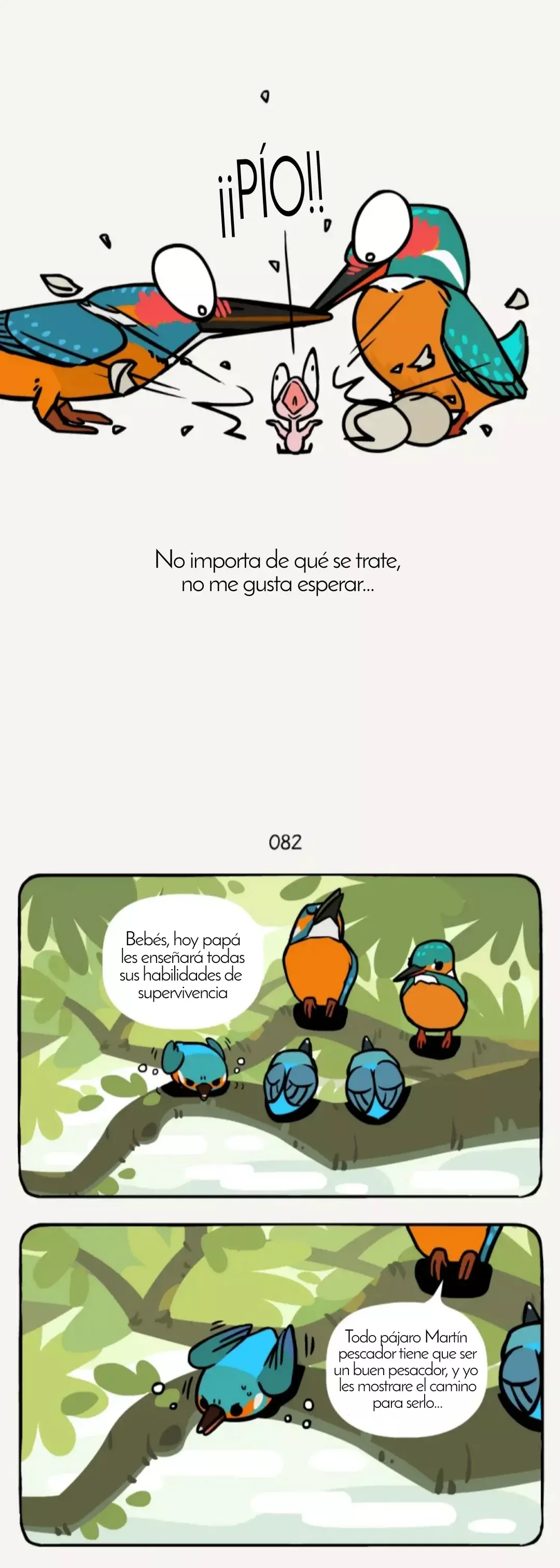Compañeros de Bambú Capitulo 25: Pájaro Martín pescador página 5