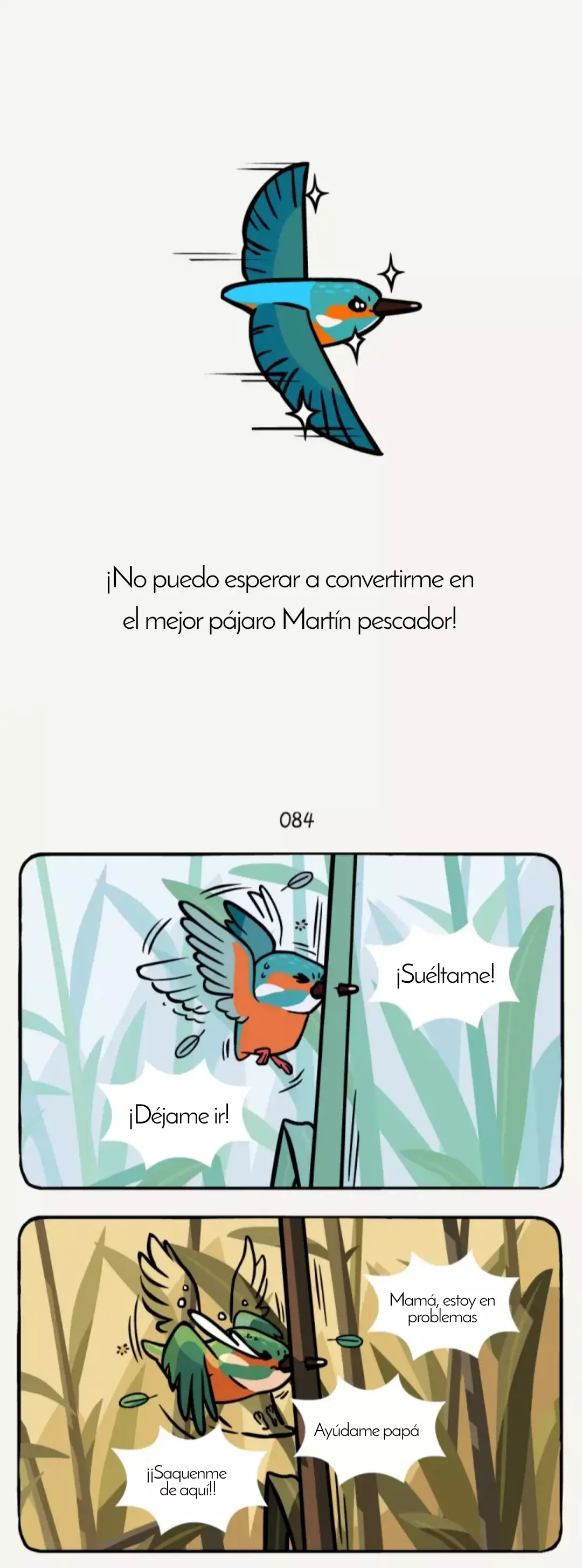 Compañeros de Bambú Capitulo 25: Pájaro Martín pescador página 8
