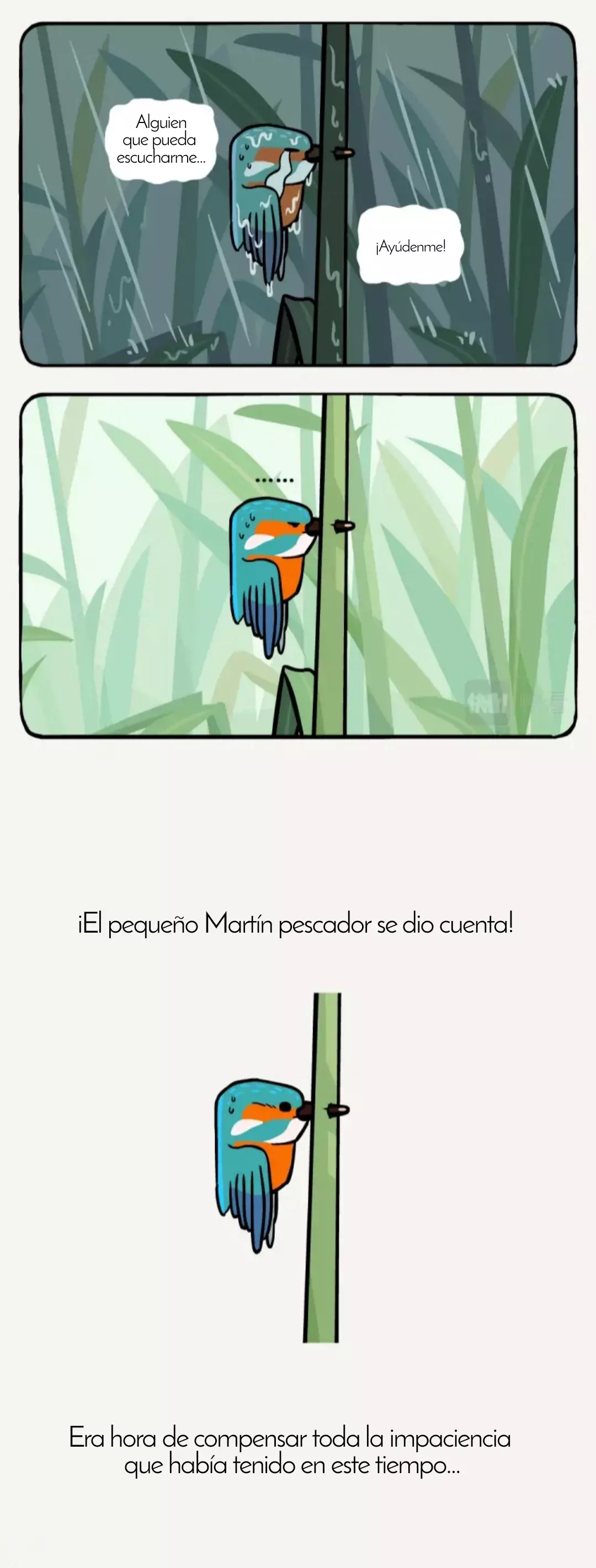 Compañeros de Bambú Capitulo 25: Pájaro Martín pescador página 9