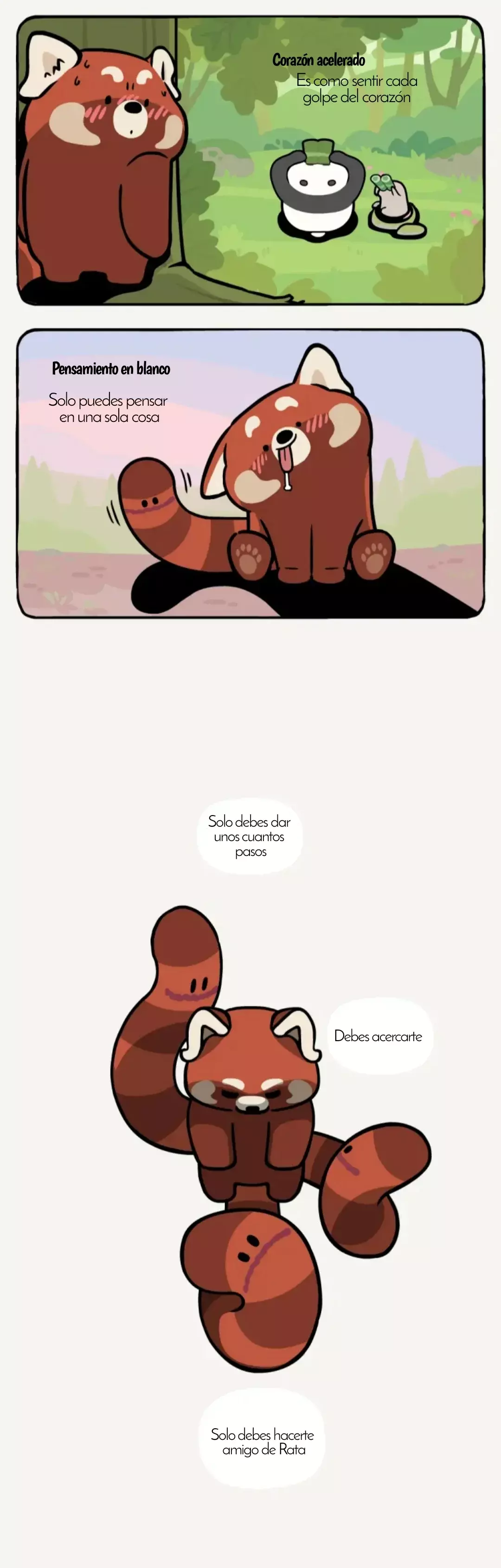 Compañeros de Bambú Capitulo 27: Libélula negra página 5