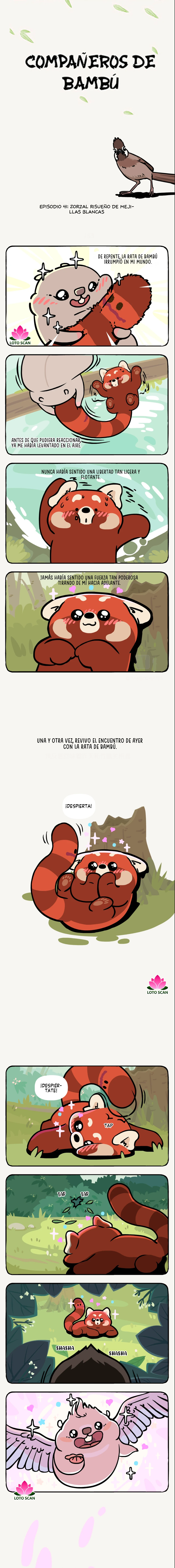 Compañeros de Bambú Capitulo 41 página 2