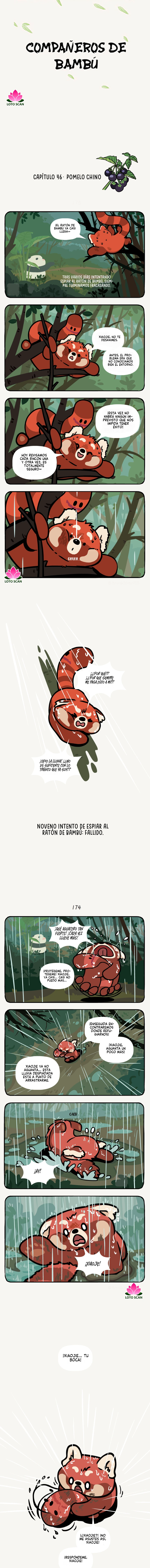 Compañeros de Bambú Capitulo 46 página 2