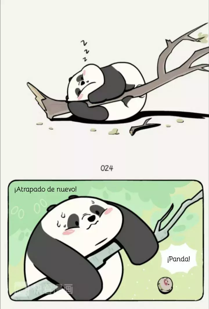 Compañeros de Bambú Capitulo 8: En el árbol página 6