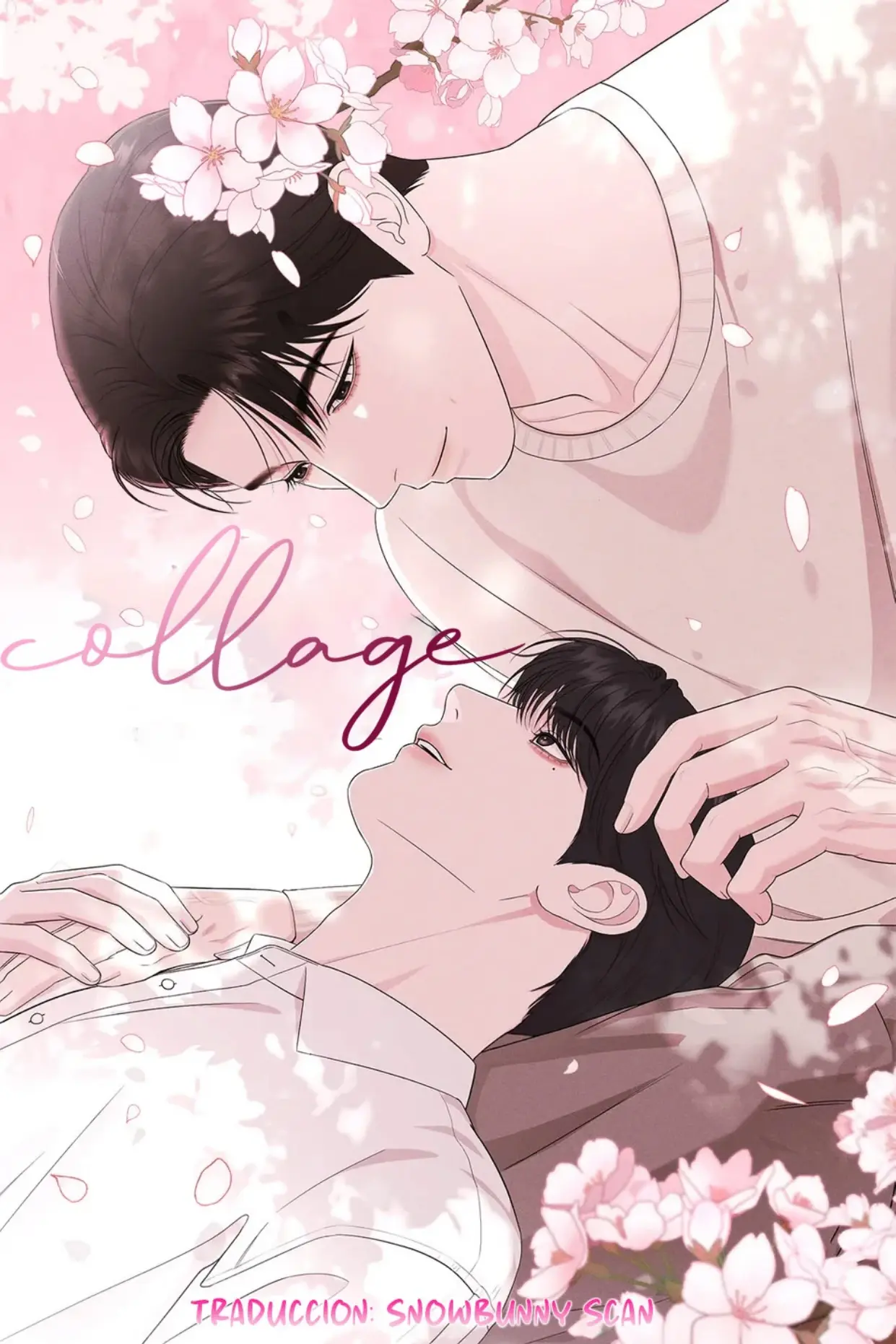 Collage Capitulo 25 página 5