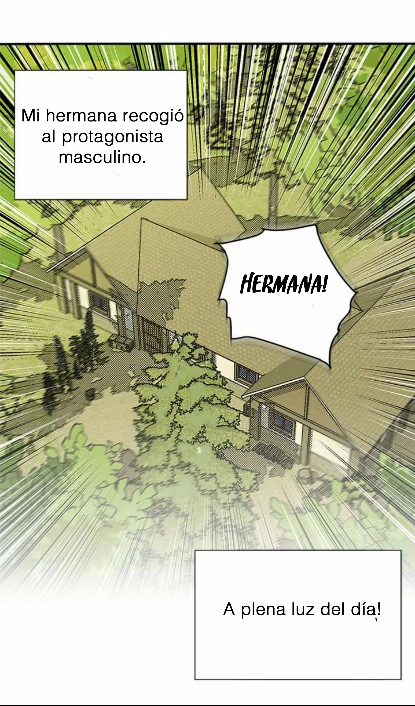 Mi hermana recogió al protagonista masculino Capitulo 1 página 11
