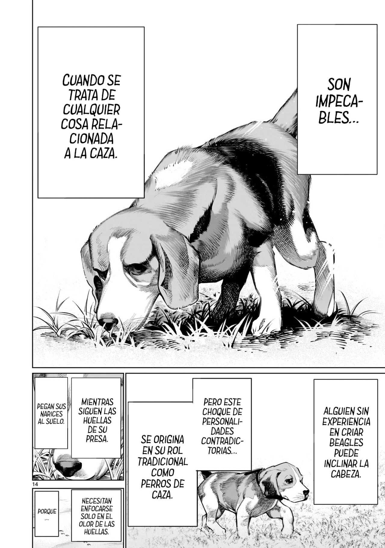 Killing Bites Capitulo 114 página 14